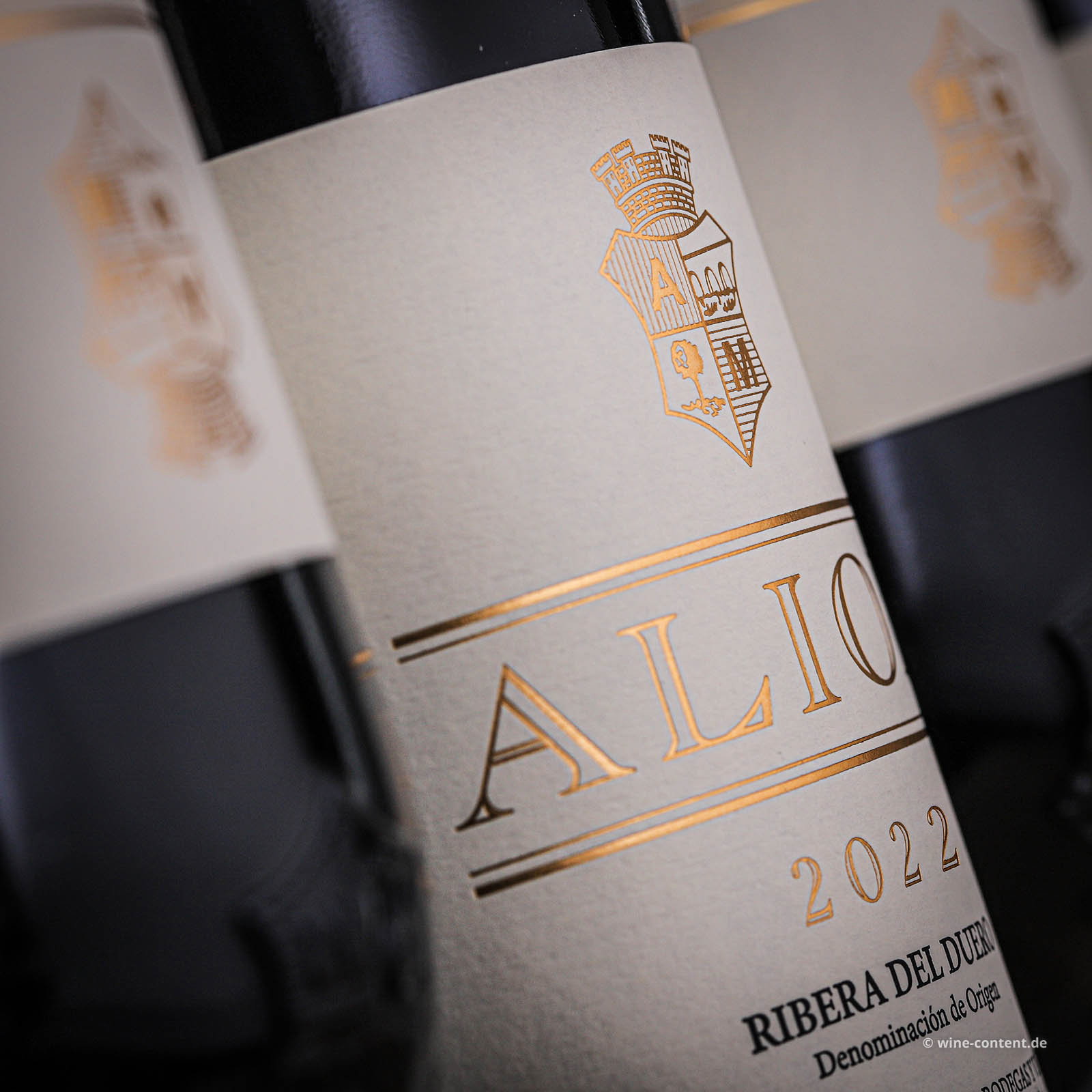 6er-Holzkiste Alión 2022