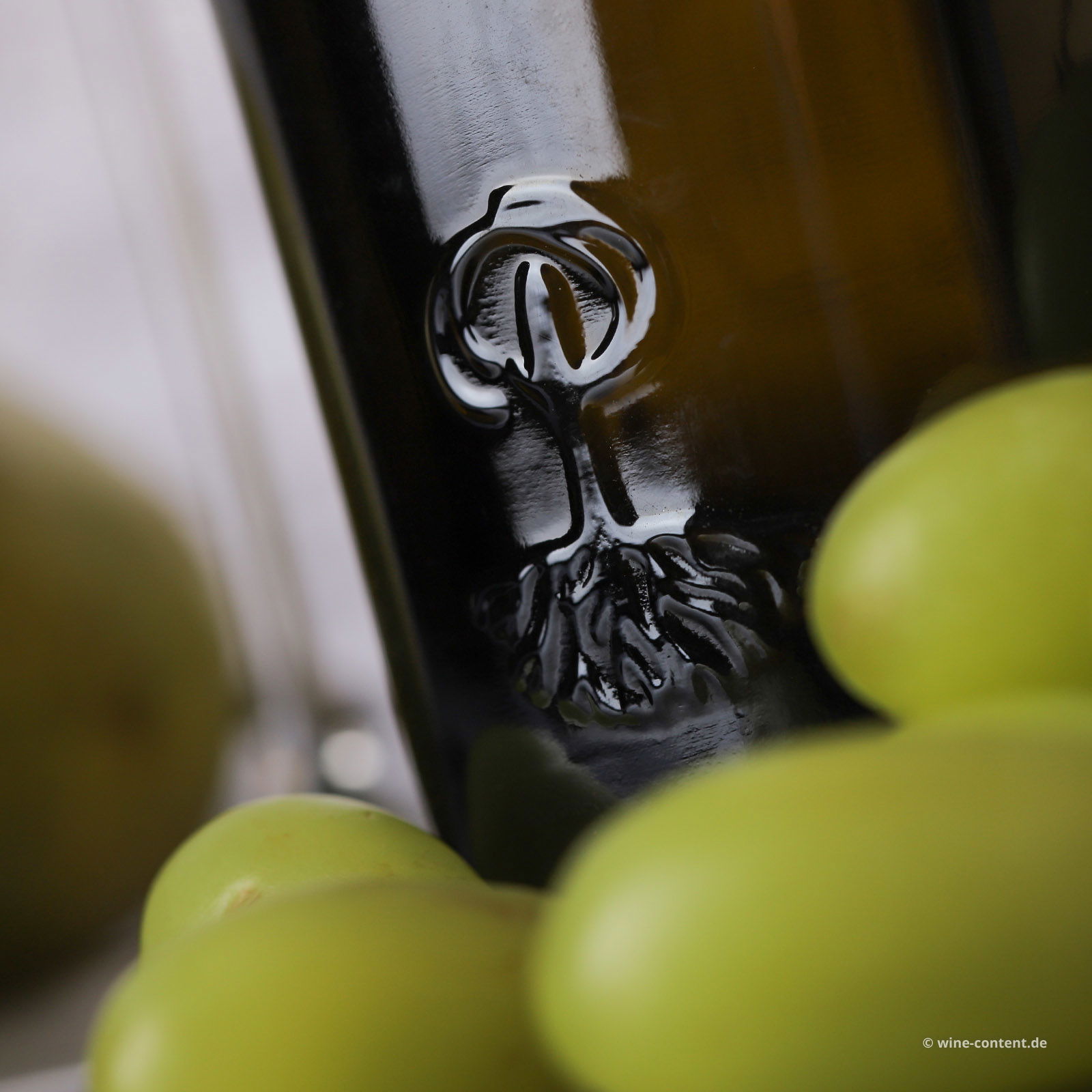 Lugana 2025 Catulliano Bio