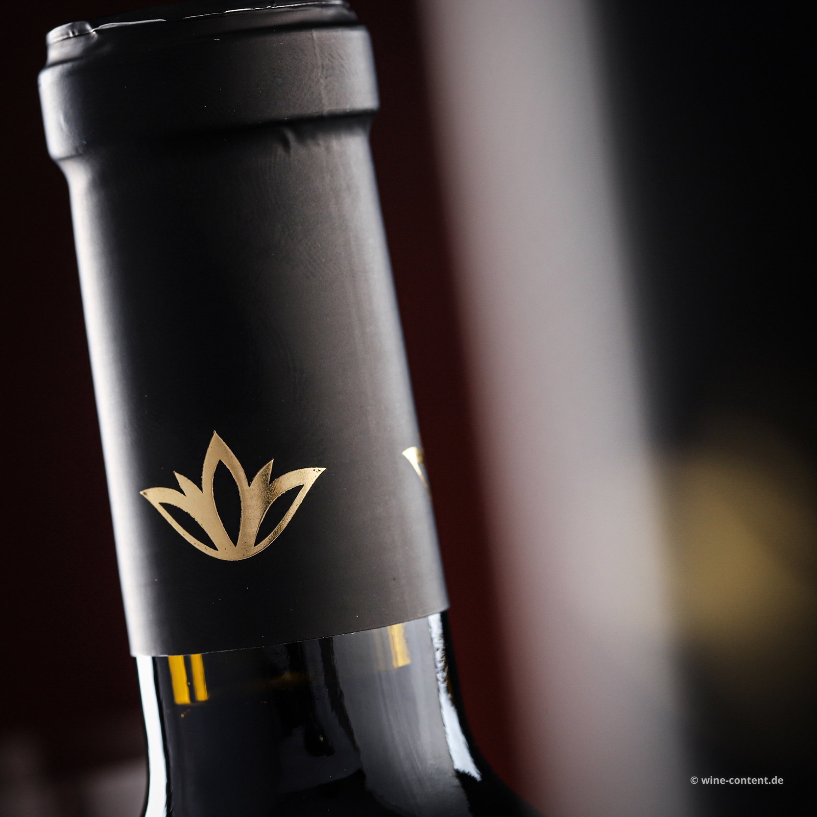 Cabernet Sauvignon Salento 2022