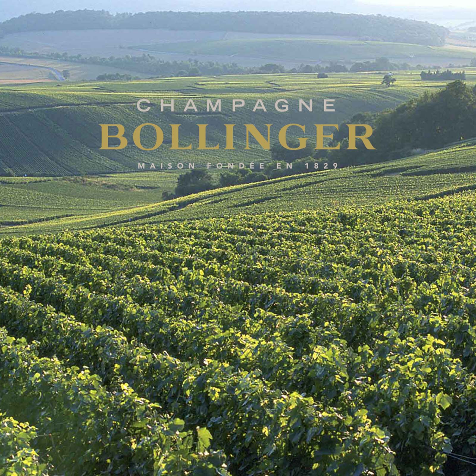 Champagner 2015 La Grande Année Brut