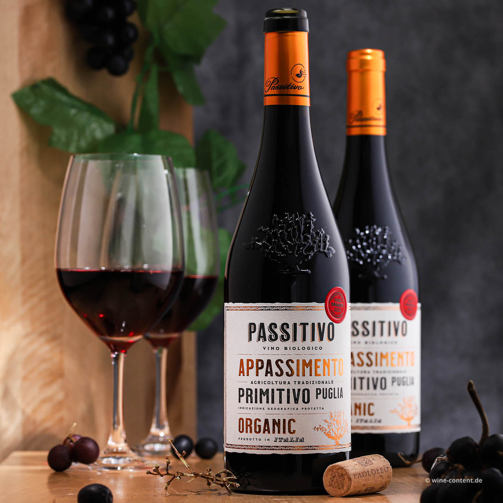 Primitivo 2022 Passitivo Bio