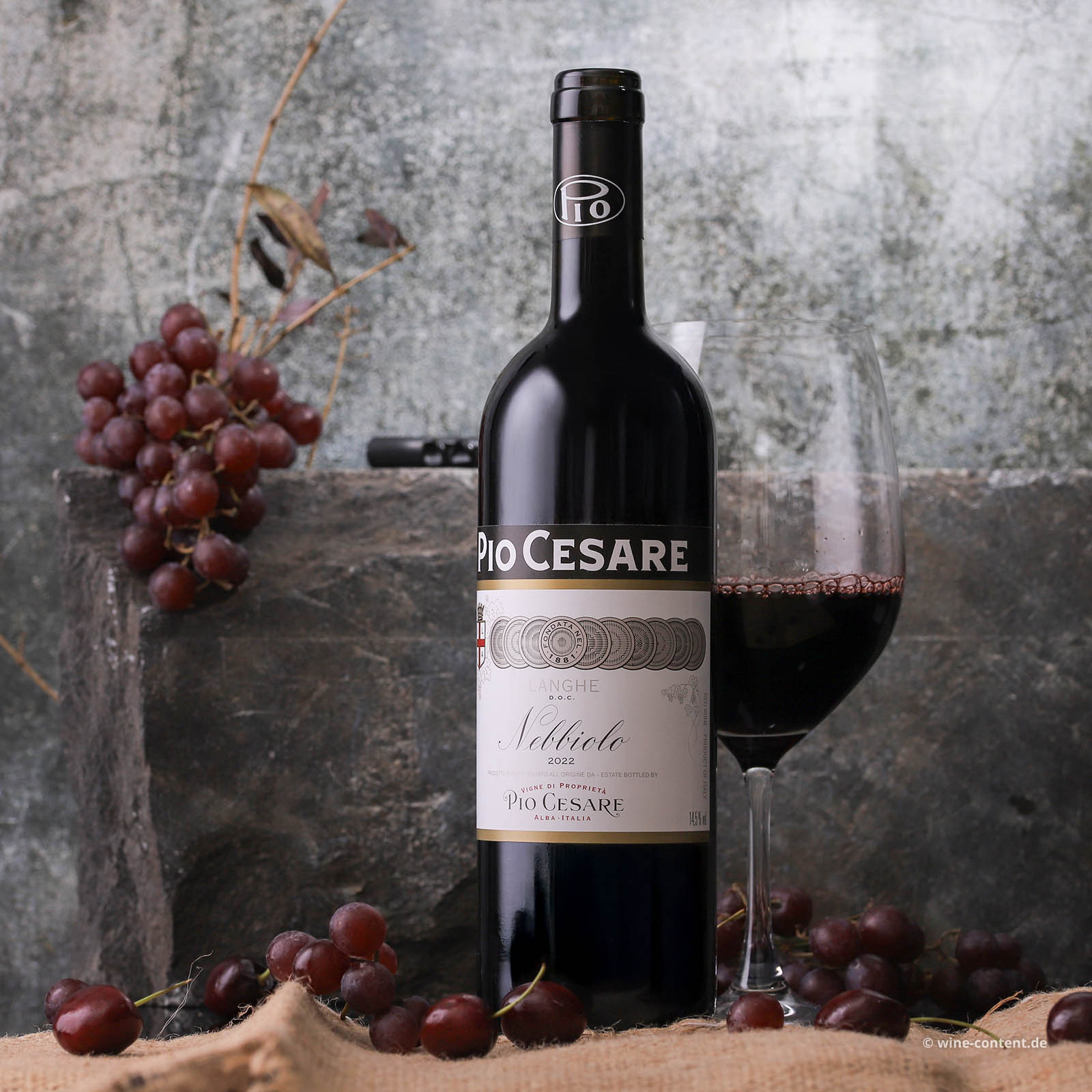 Nebbiolo Langhe 2022