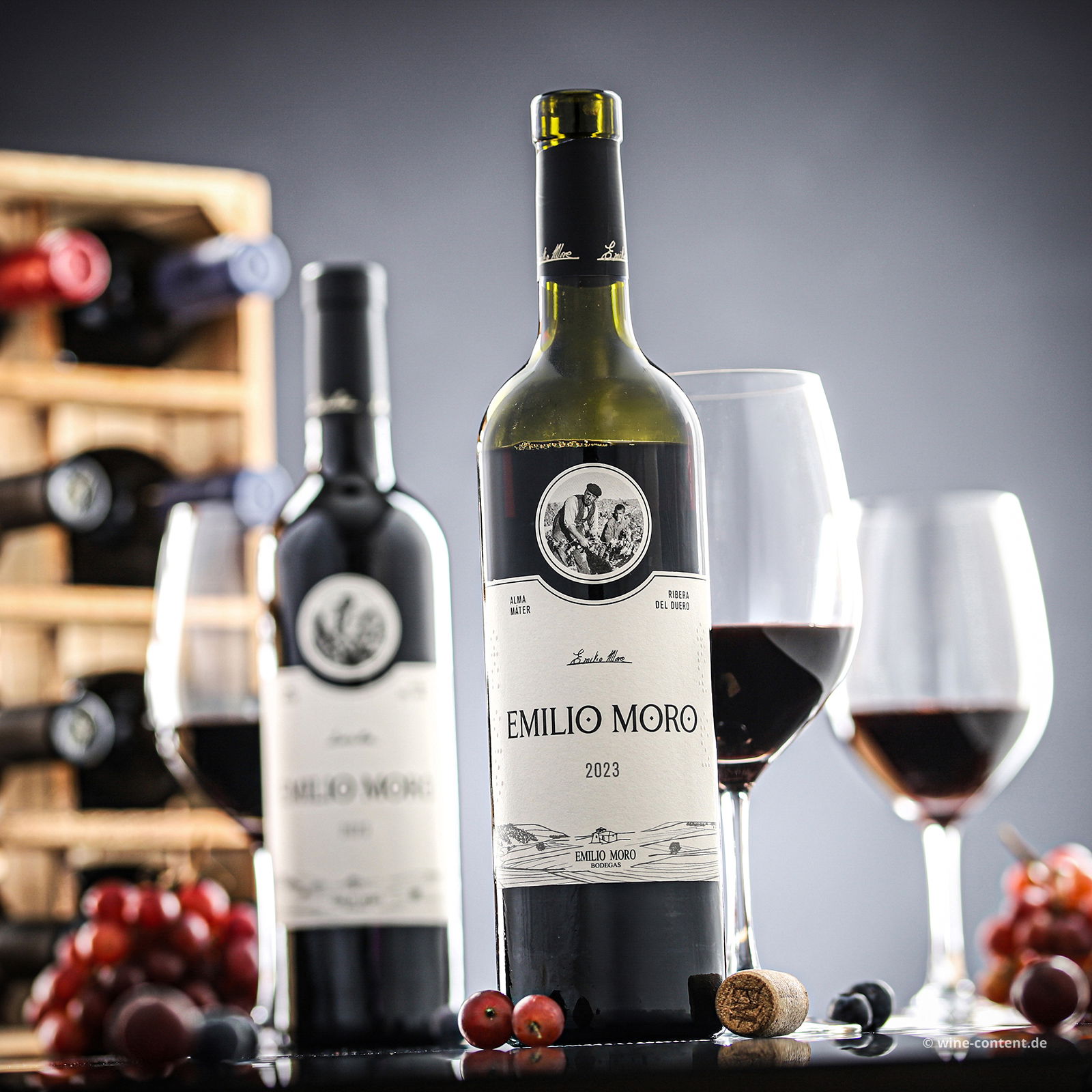 Tempranillo 2023 Emilio Moro