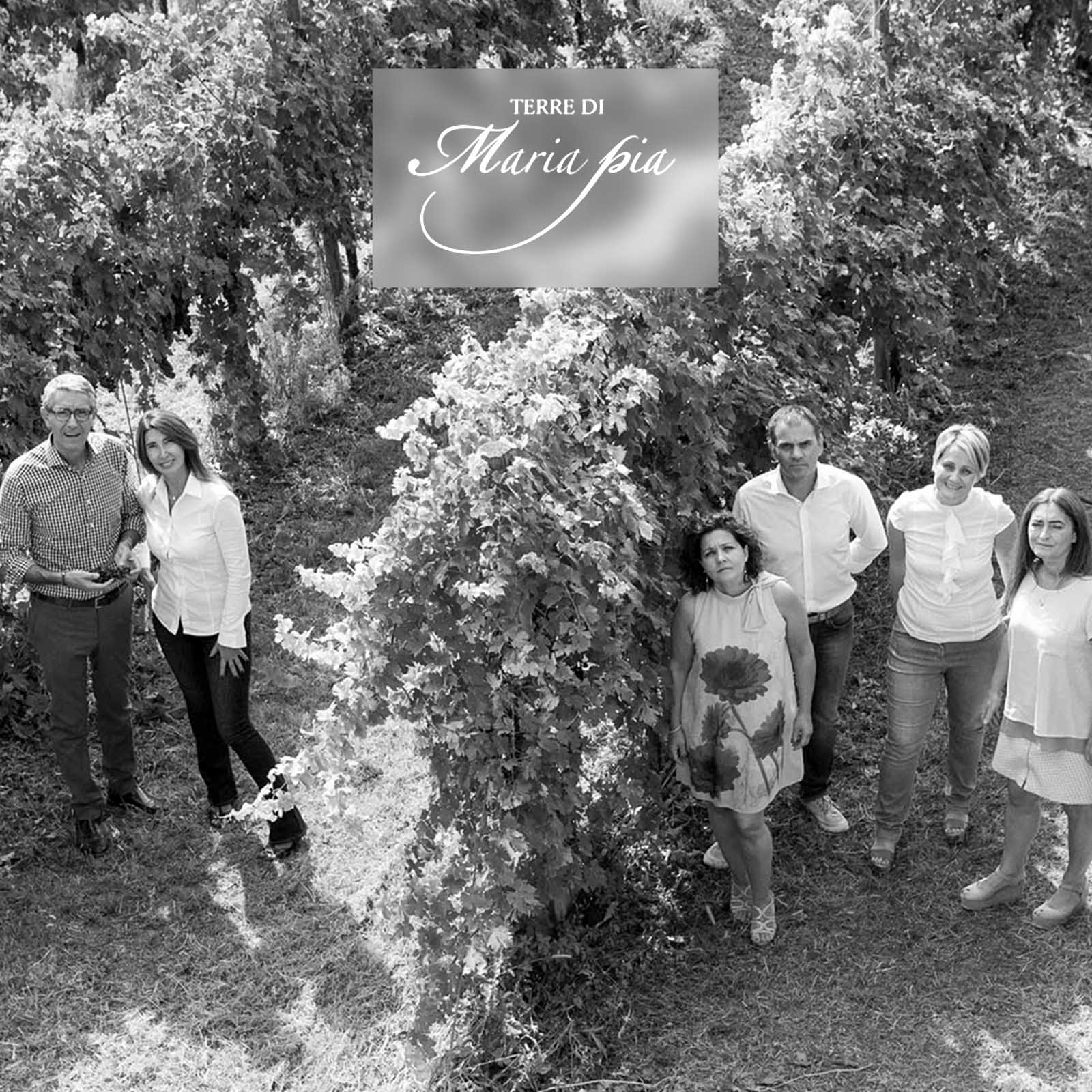 Chiaretto di Bardolino Classico 2024 Matié