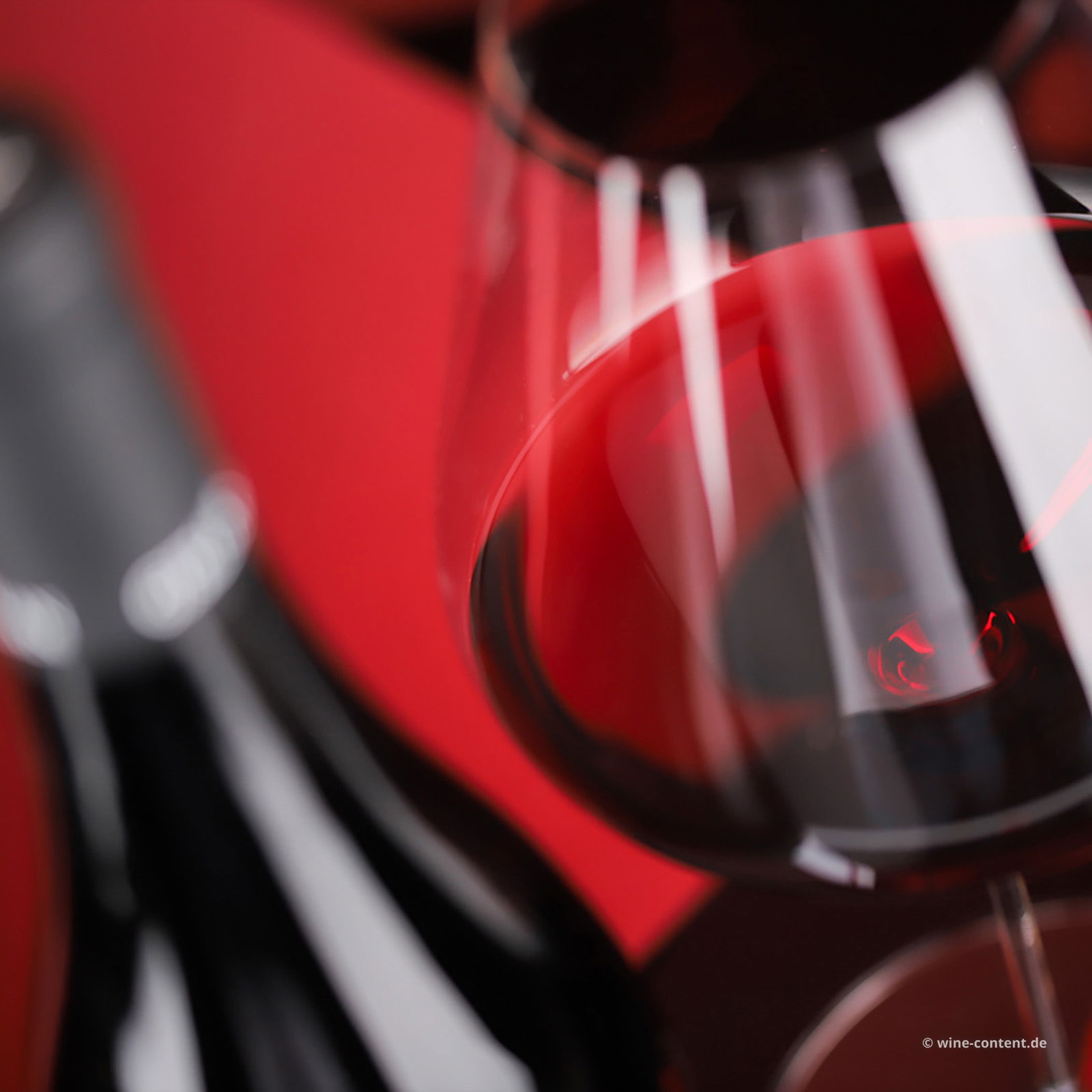 Vernatsch 2024 448 s.l.m.