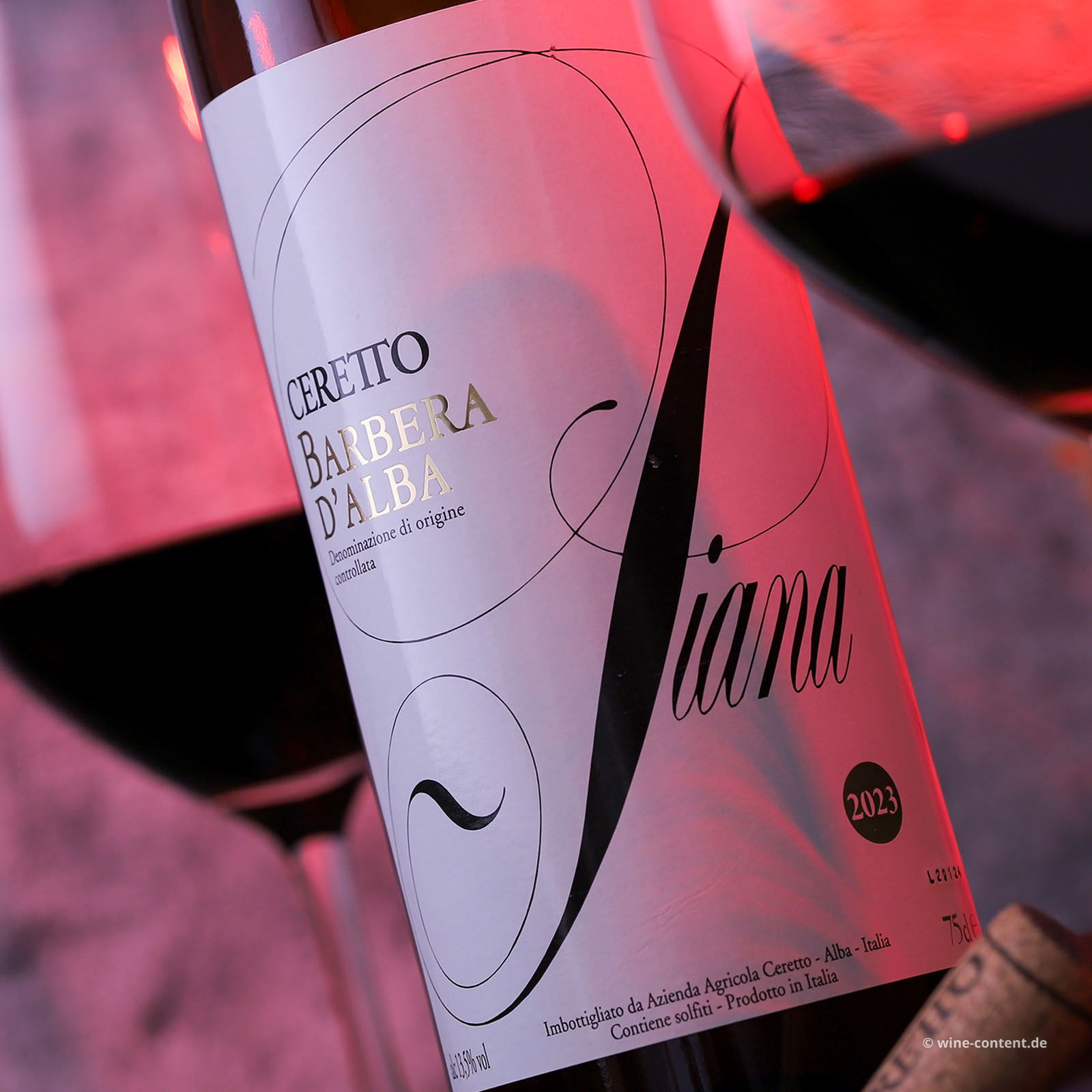 Barbera d'Alba 2023 Piana Bio