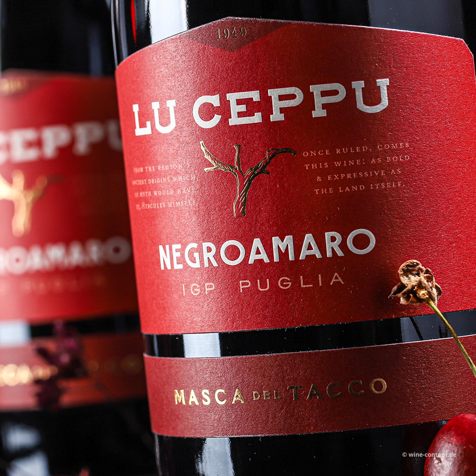 Negroamaro 2023 Lu Ceppu
