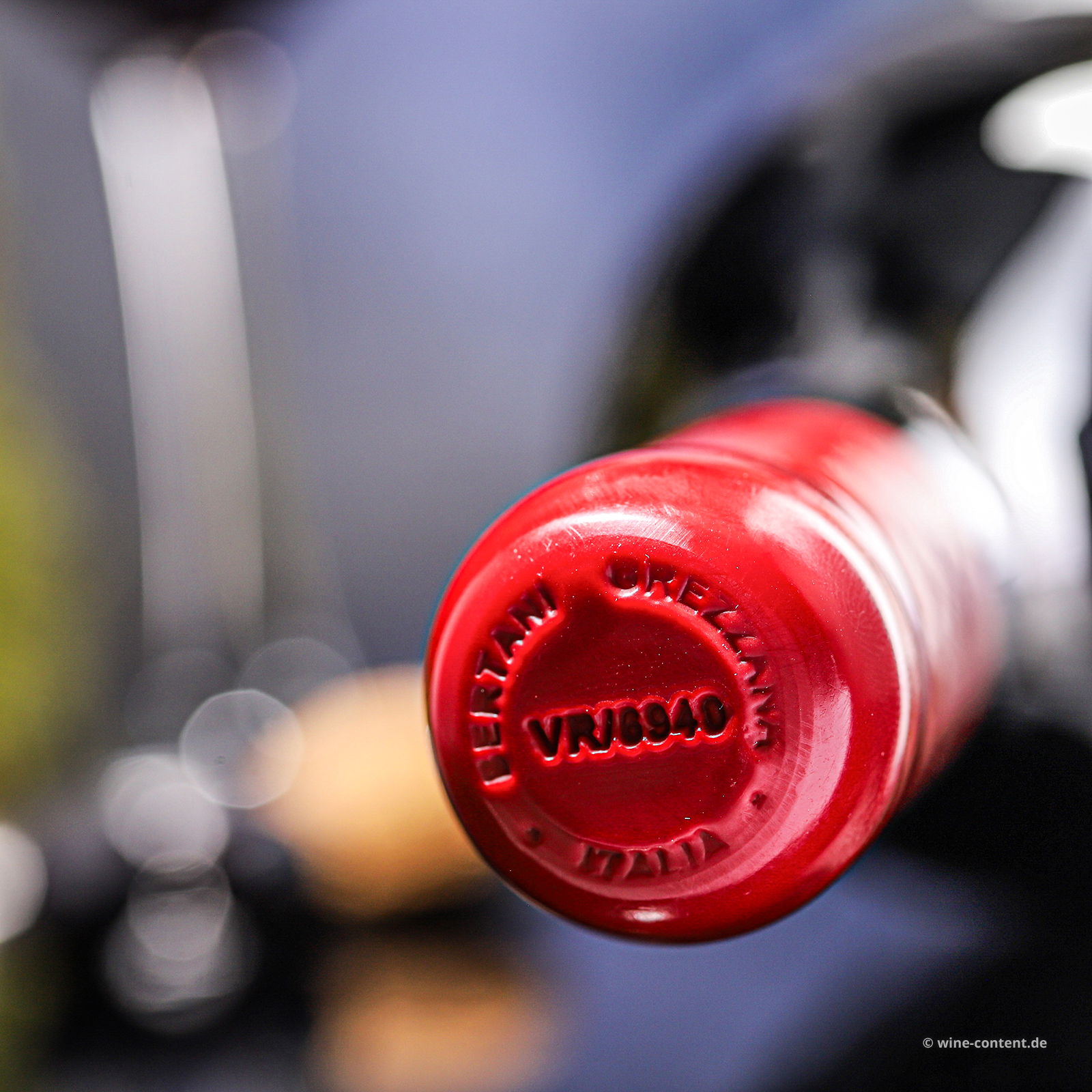 Valpolicella Classico Superiore 2021 Cru Ognisanti