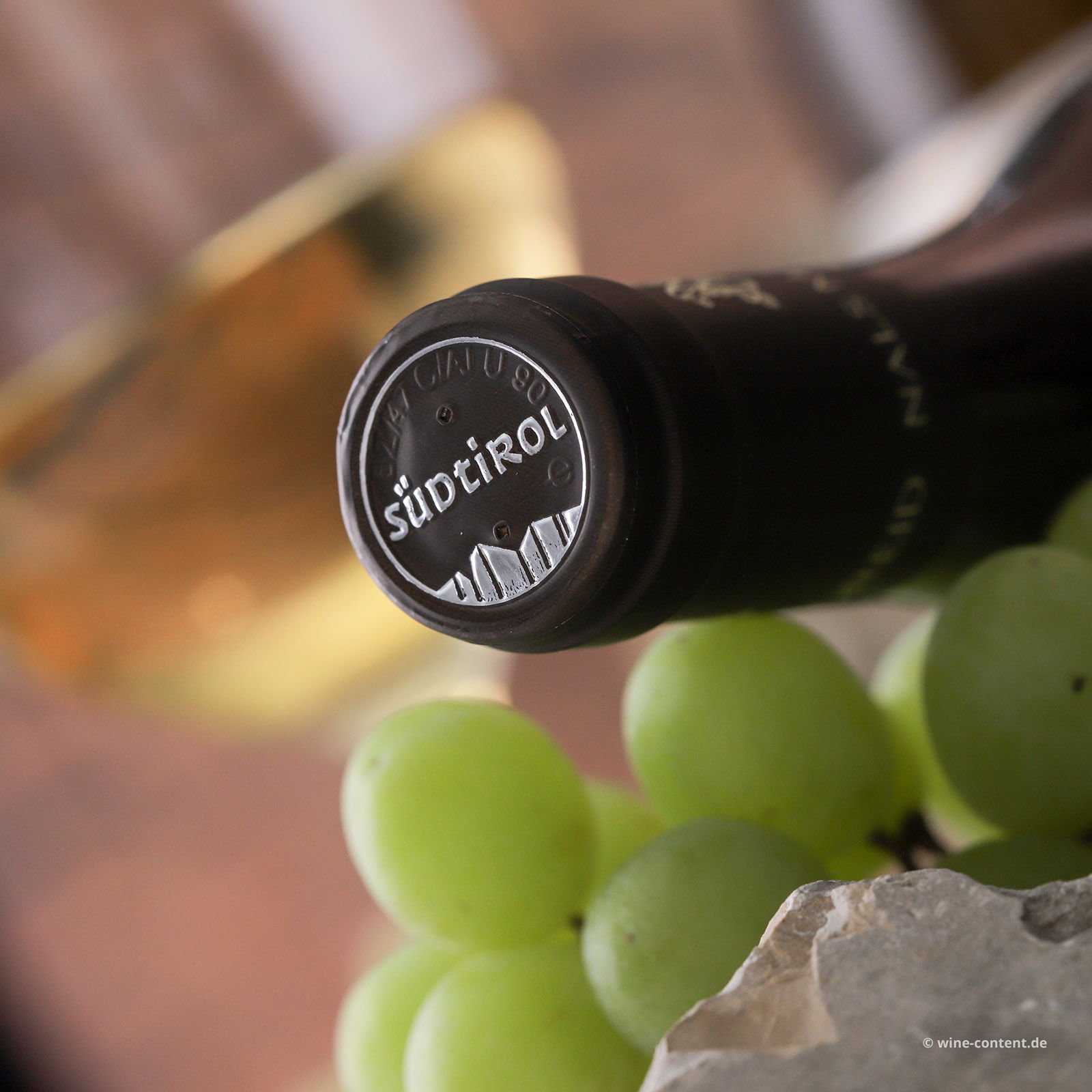 Sauvignon Blanc 2024 Stein