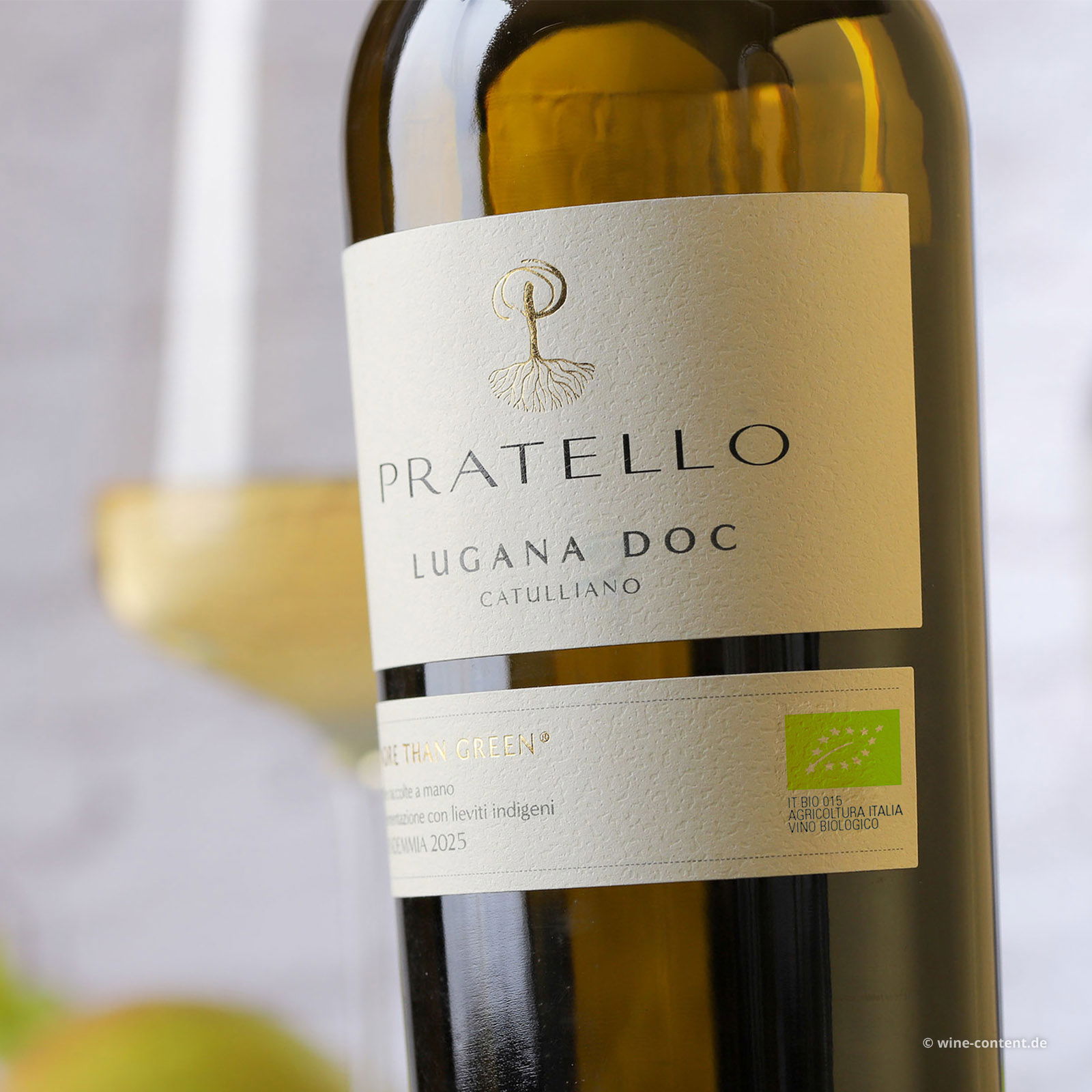 Lugana 2025 Catulliano Bio