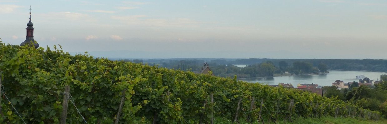 Weingut Leonhard