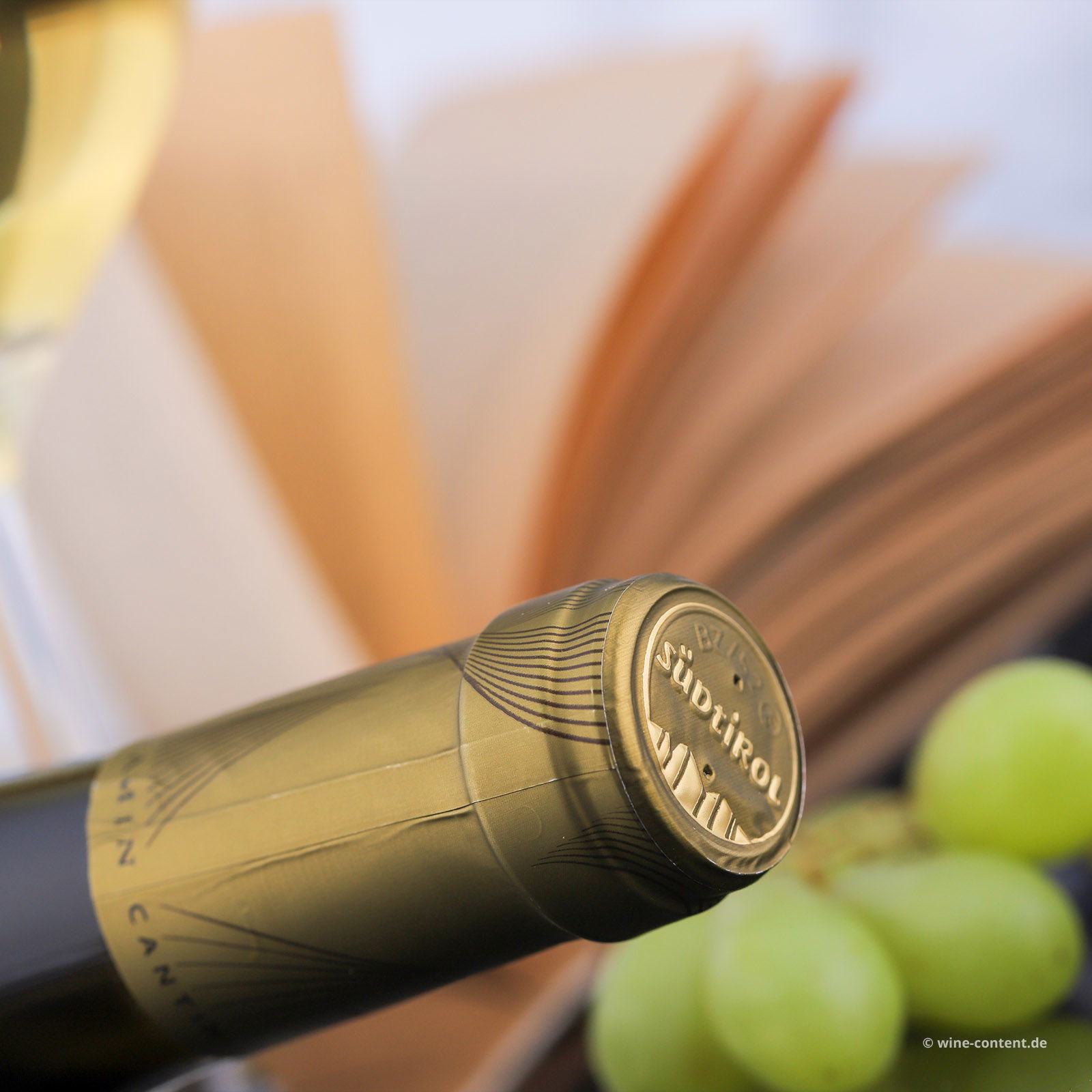 Pinot Grigio 2025 Classic