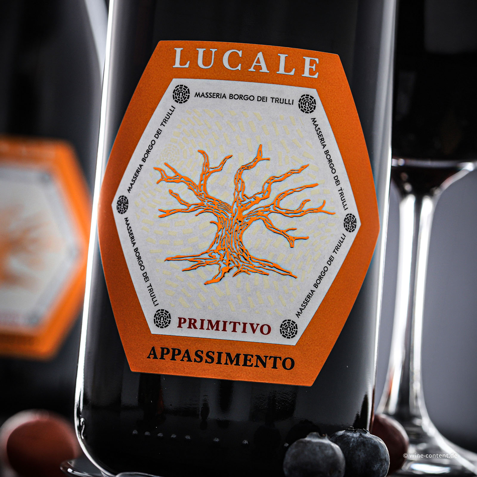 Primitivo Appassimento 2024 Lucale