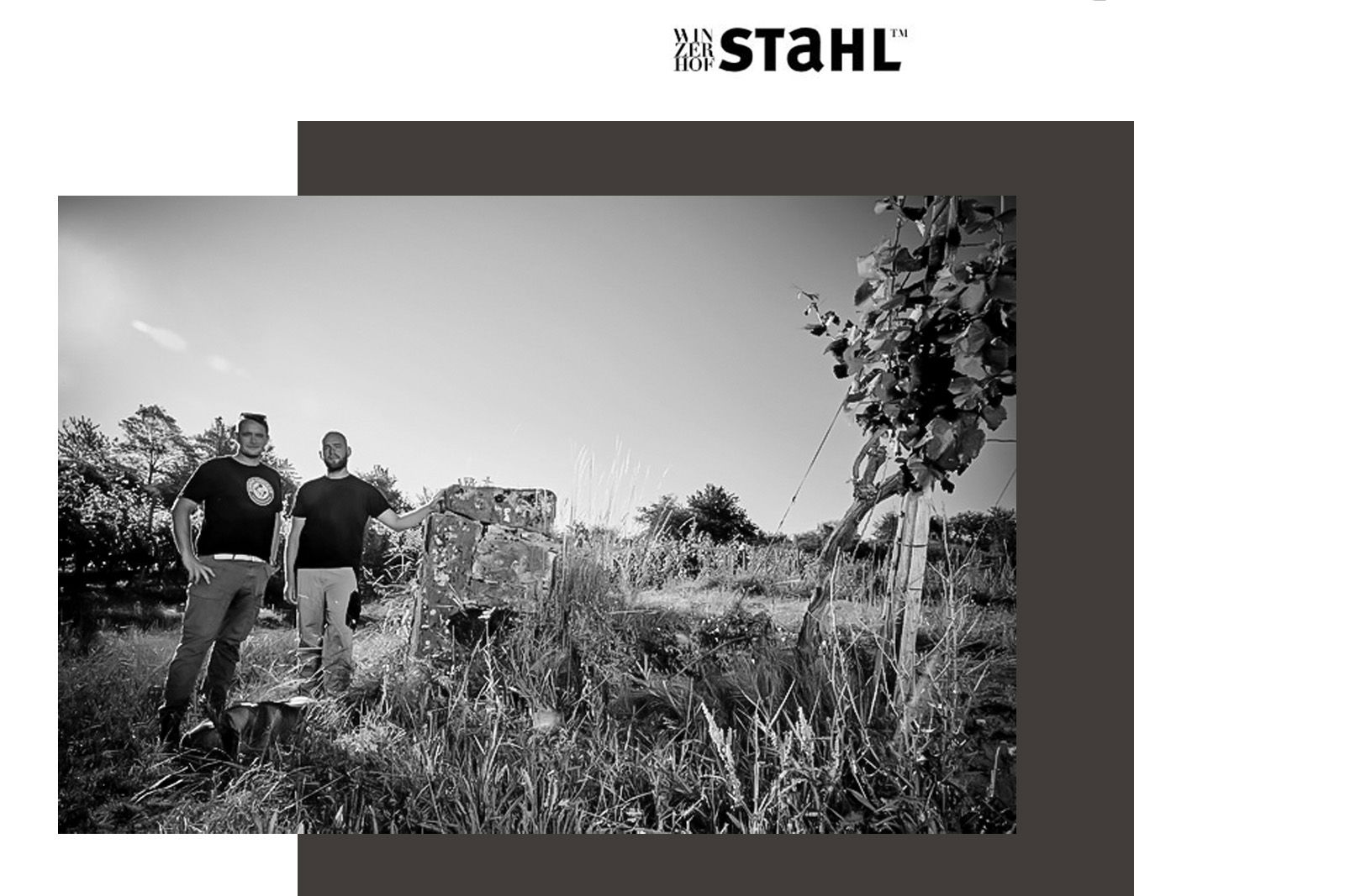 Sauvignon Blanc 2023 Felswand