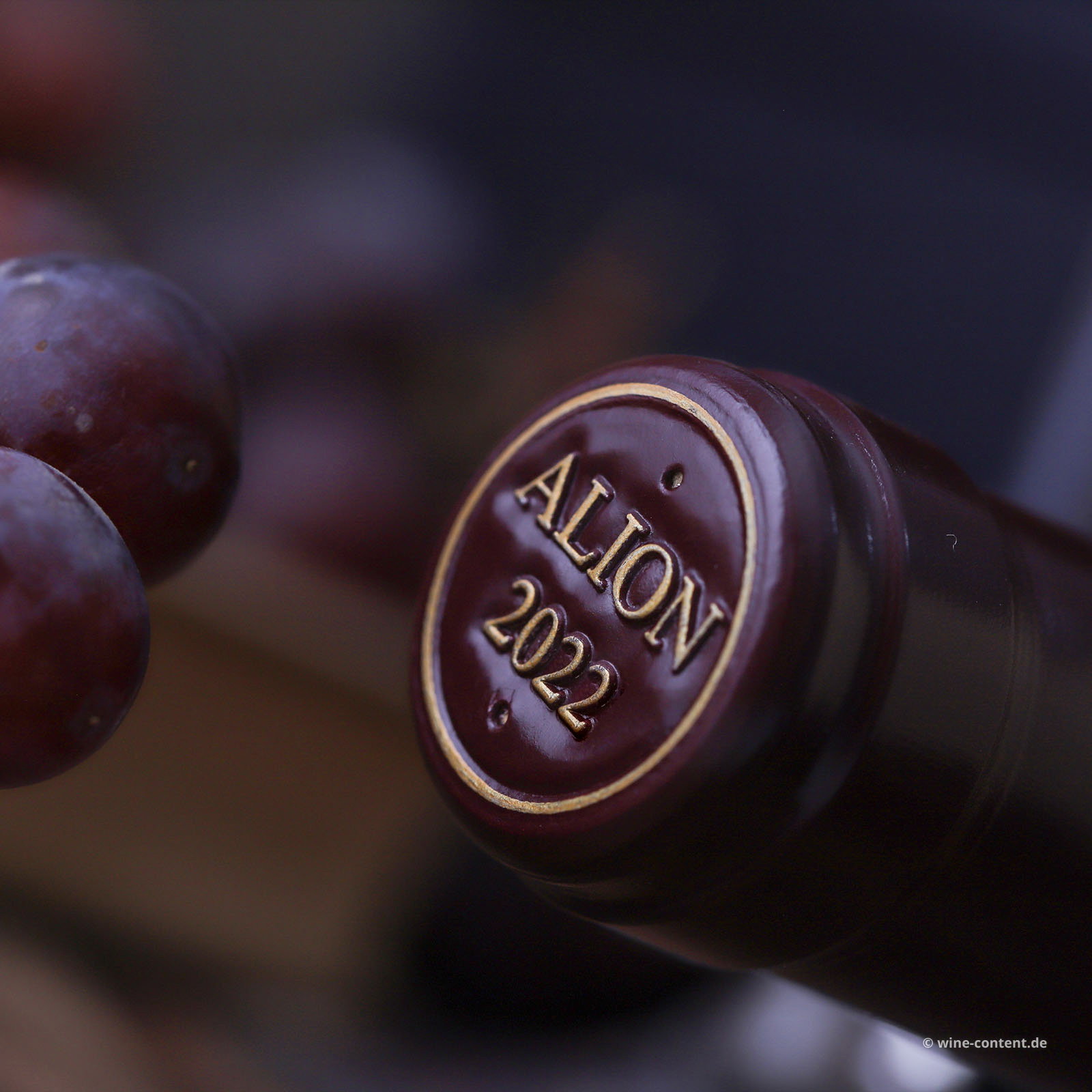 Ribera del Duero 2022 Alión