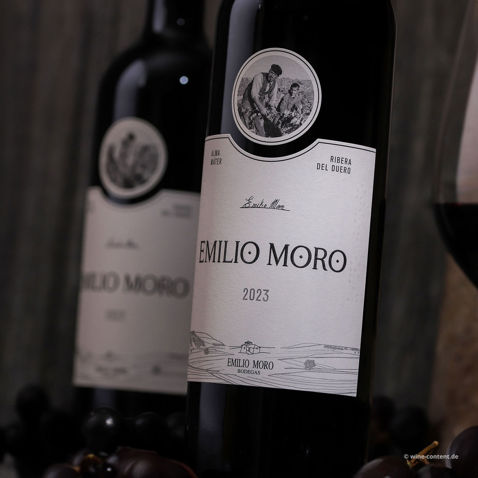 Tempranillo 2023 Emilio Moro