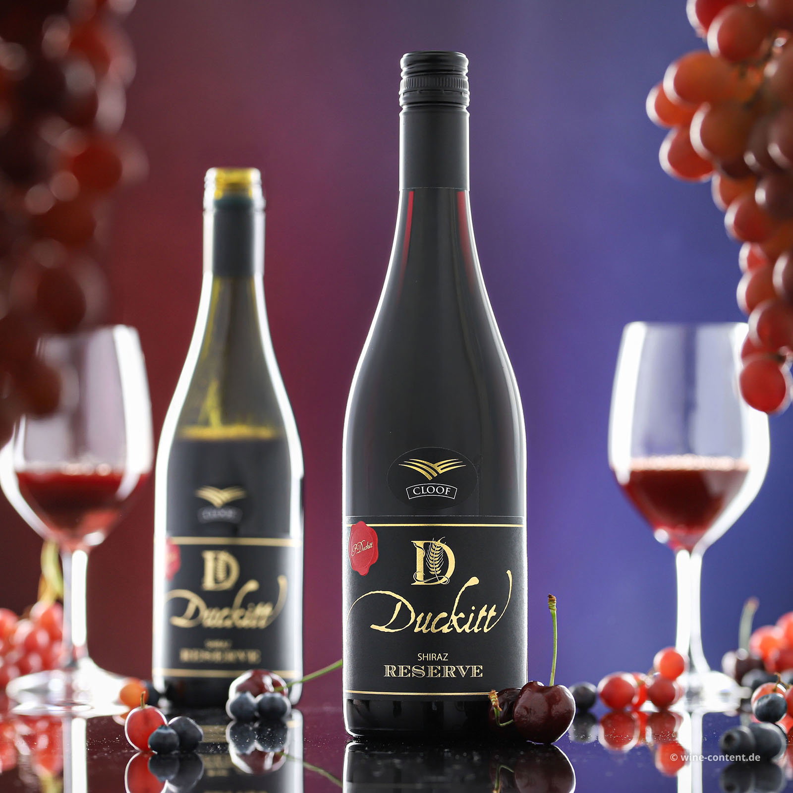 Shiraz Reserve 2022 Duckitt