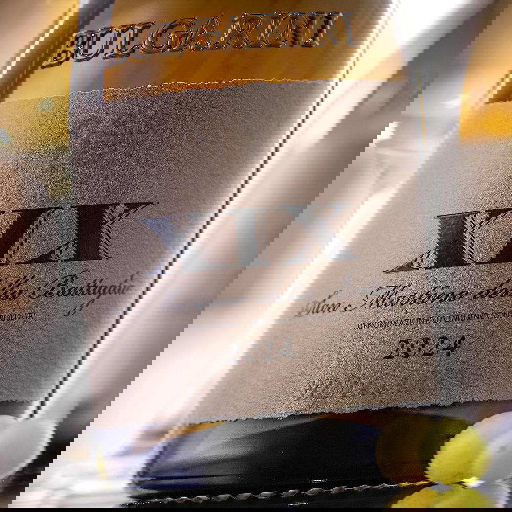 San Martino della Battaglia 2024 XIX