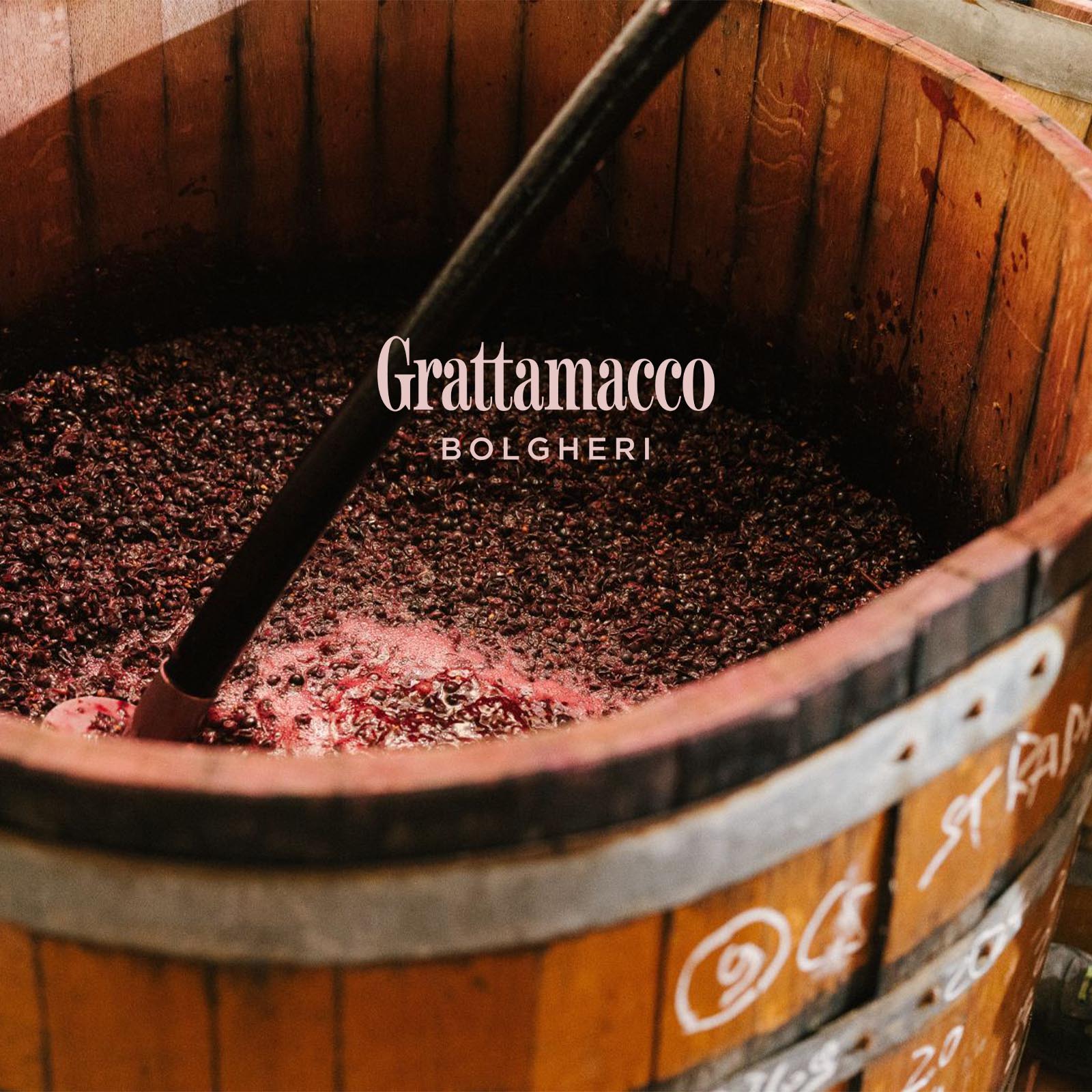 Bolgheri Rosso 2024 Bio