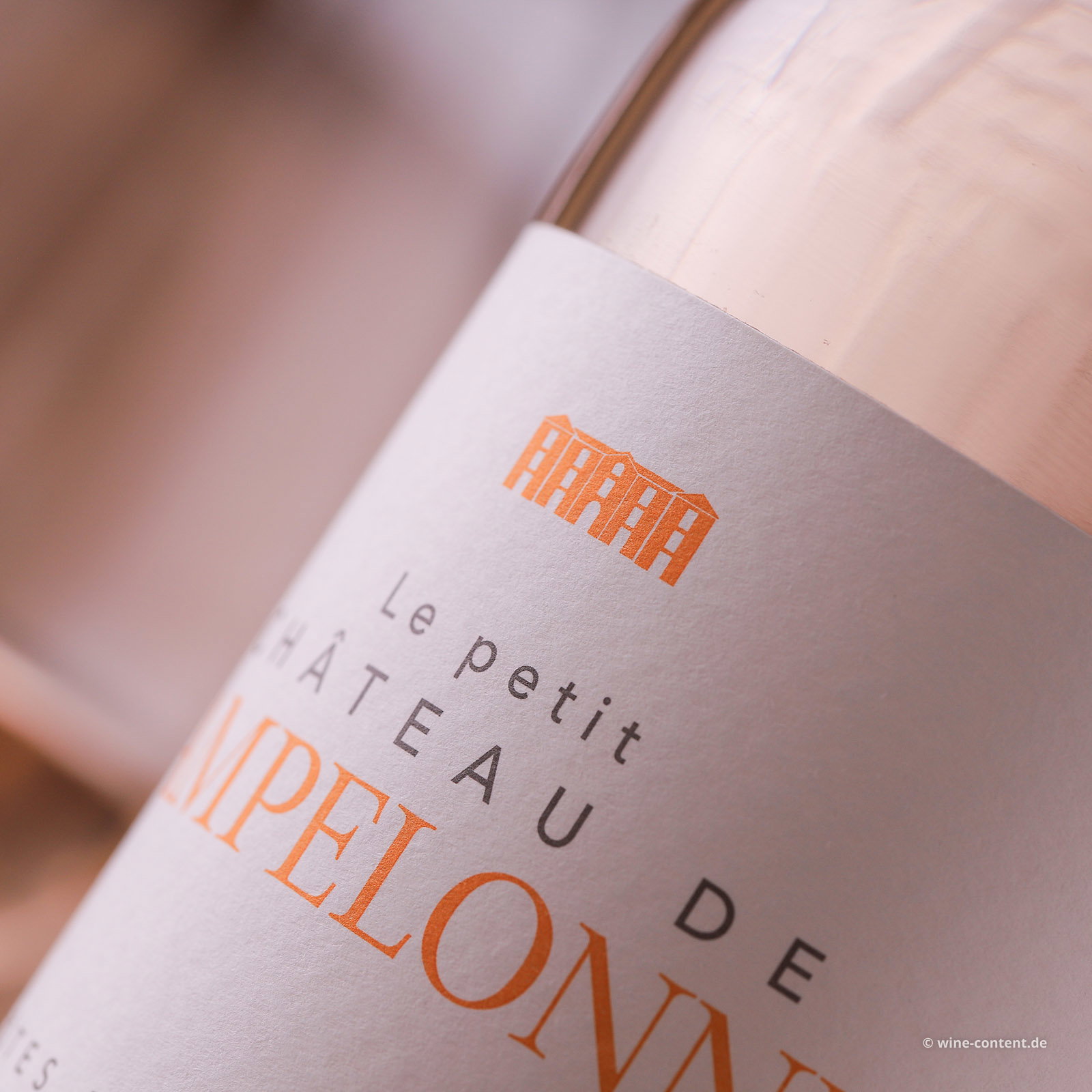 Côtes de Provence 2025 le Petit