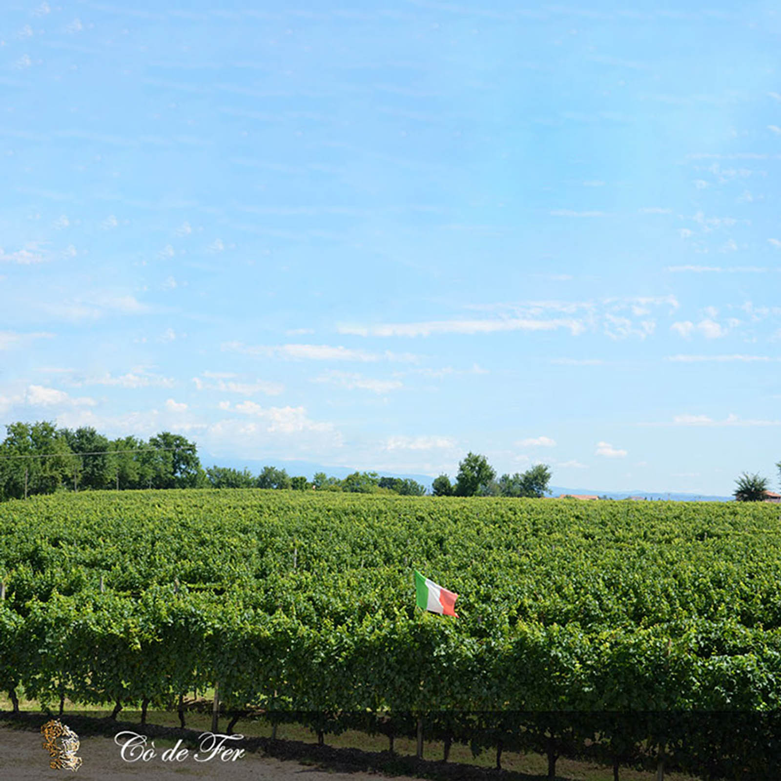 Lugana 2025 Cò de Fer