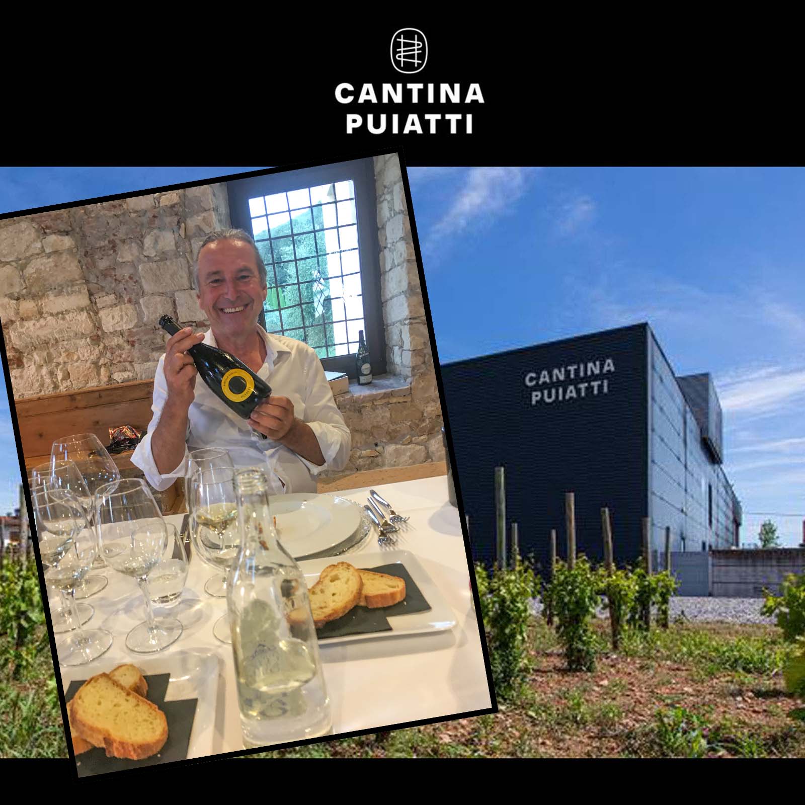 Pinot Grigio 2025 Puiattino