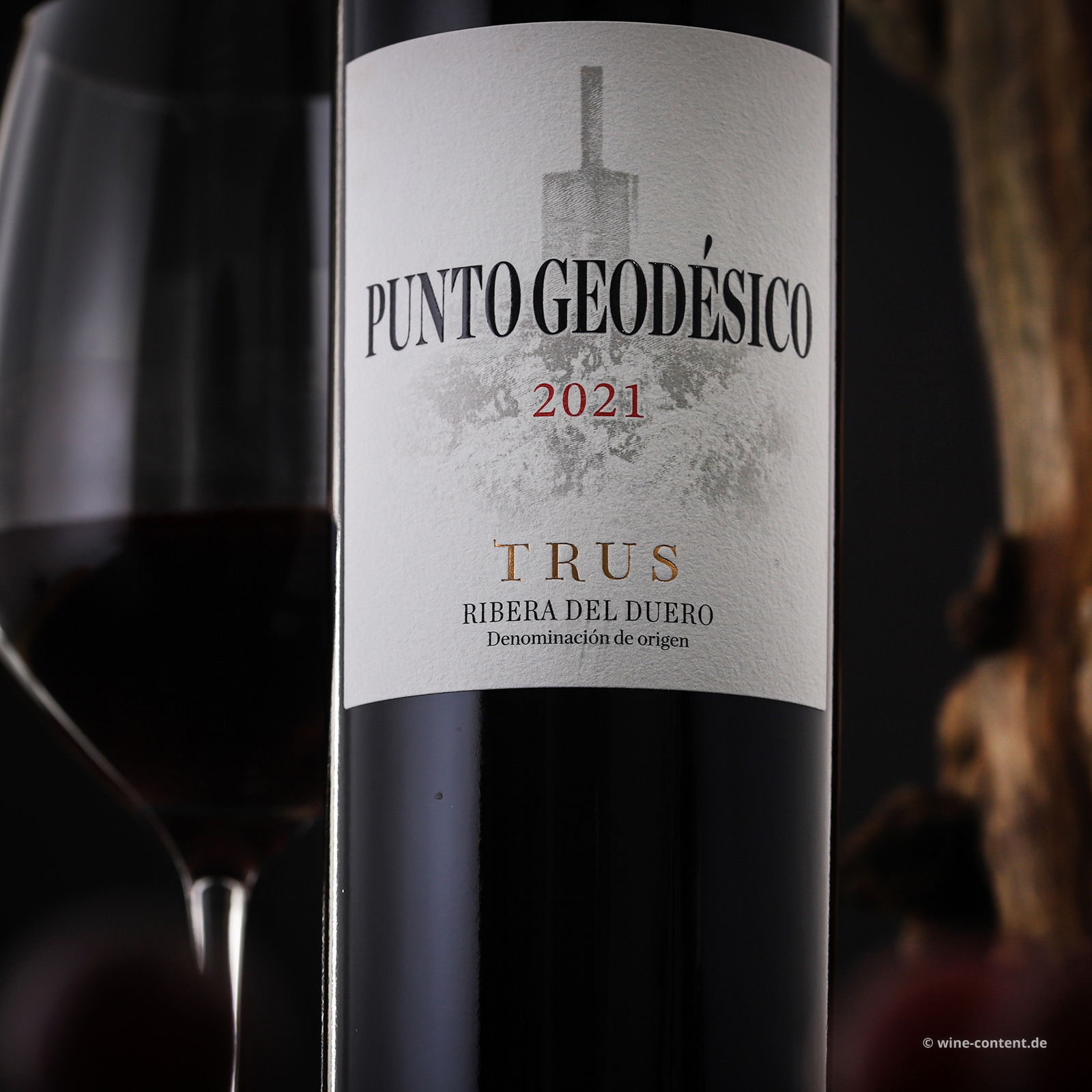 Tempranillo 2021 Punto Geodésico