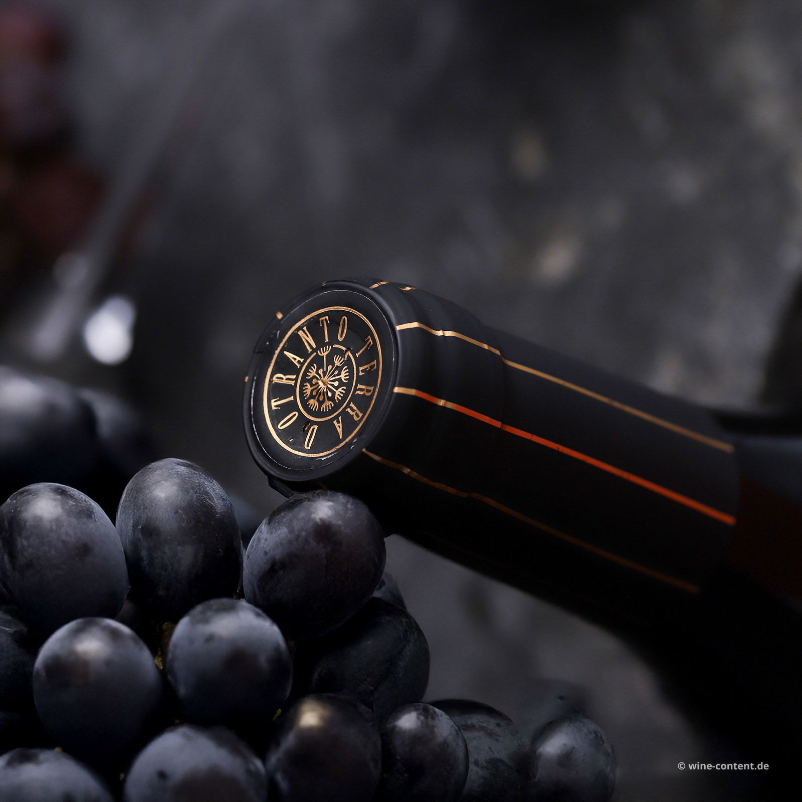 Primitivo Terra d'Otranto Riserva 2022 Vega