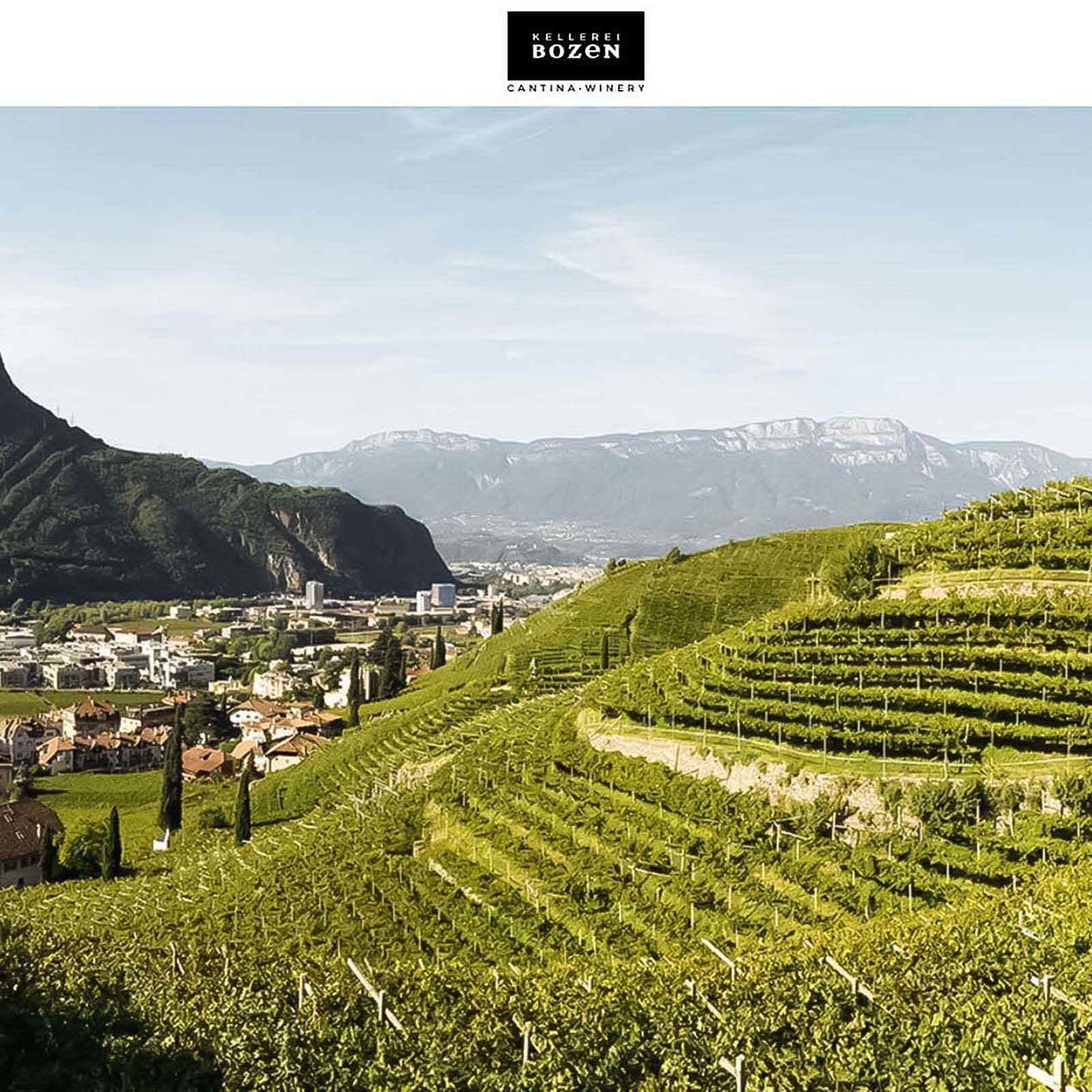 St. Magdalener Classico 2024 Huck am Bach