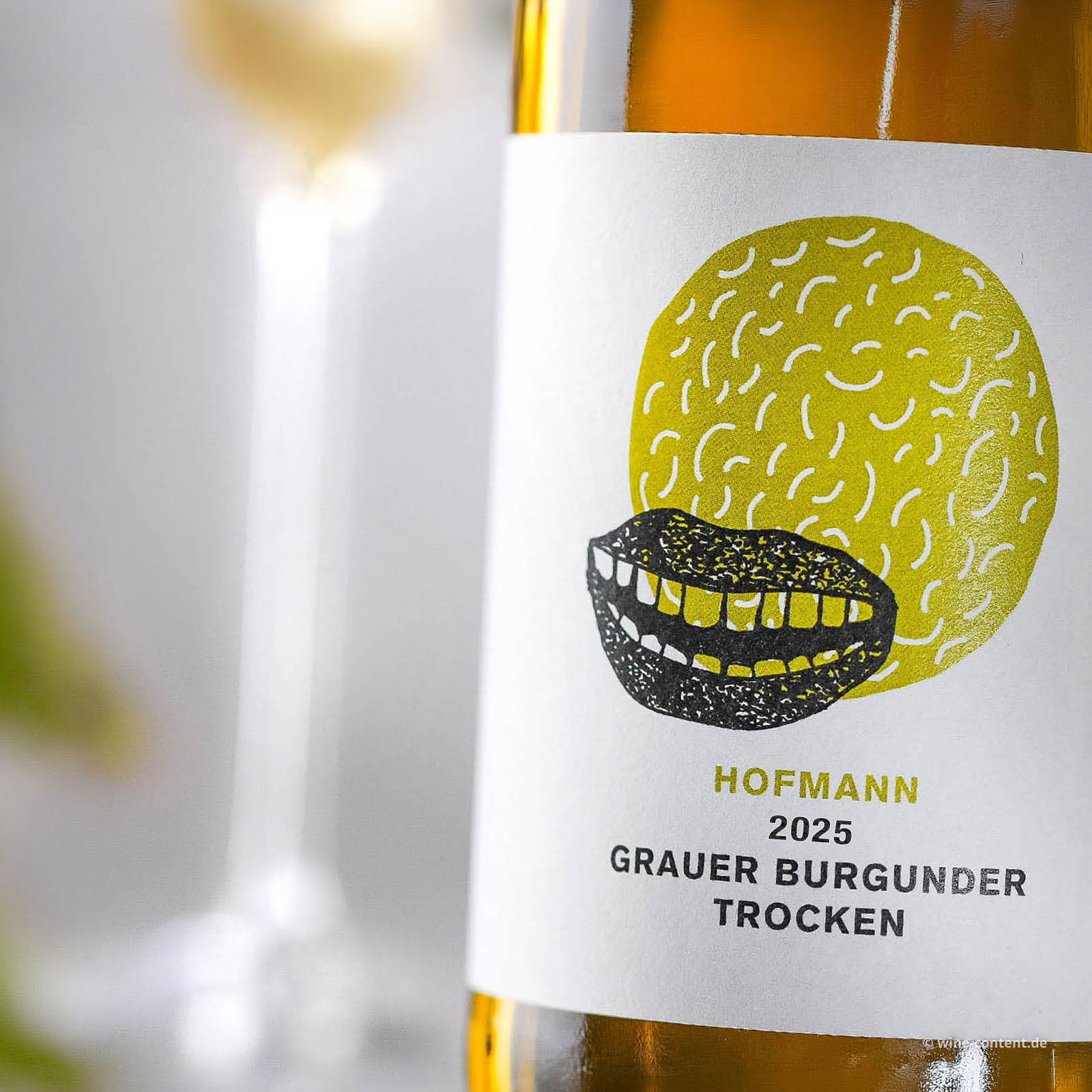 Grauer Burgunder 2025 Kussmund Bio
