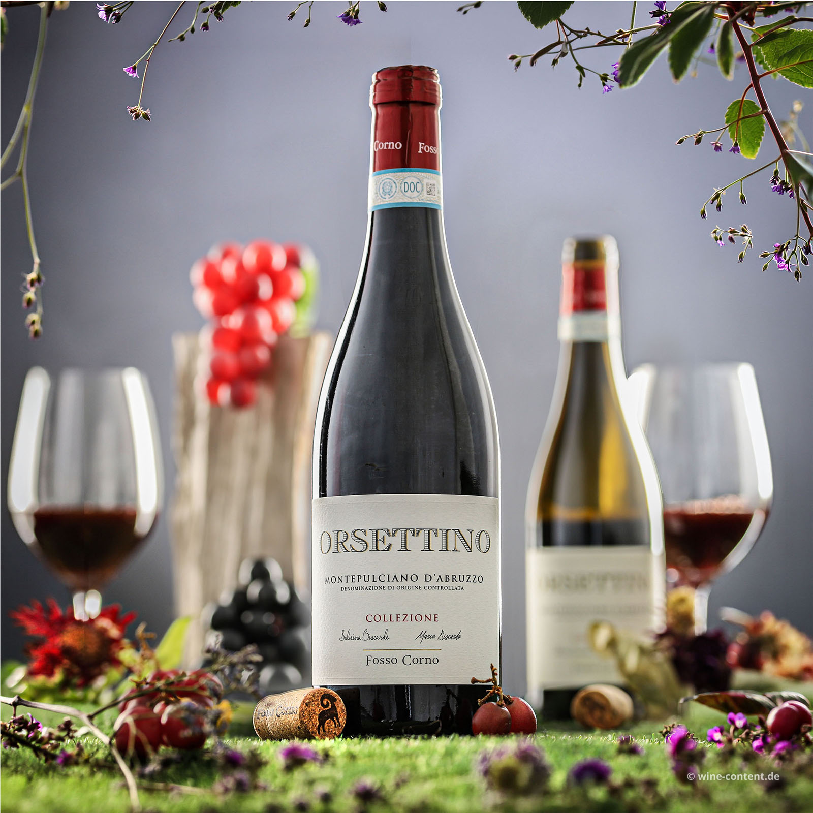 Montepulciano d´Abruzzo 2023 Orsettino