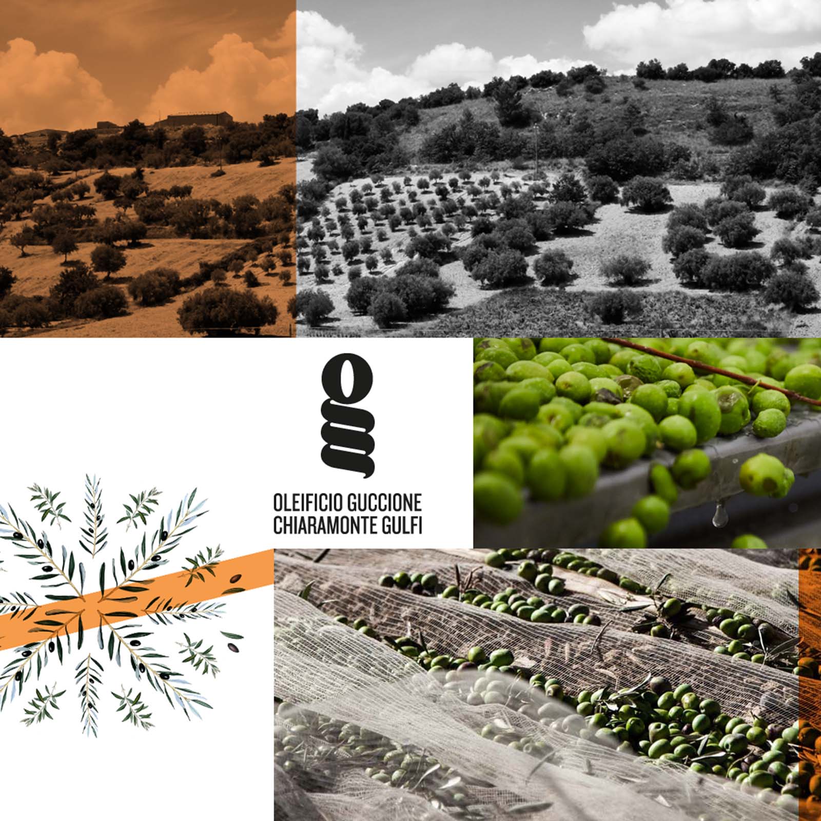 0,5 L Olivenöl Extra Vergine 2025 Fruttato Delicato