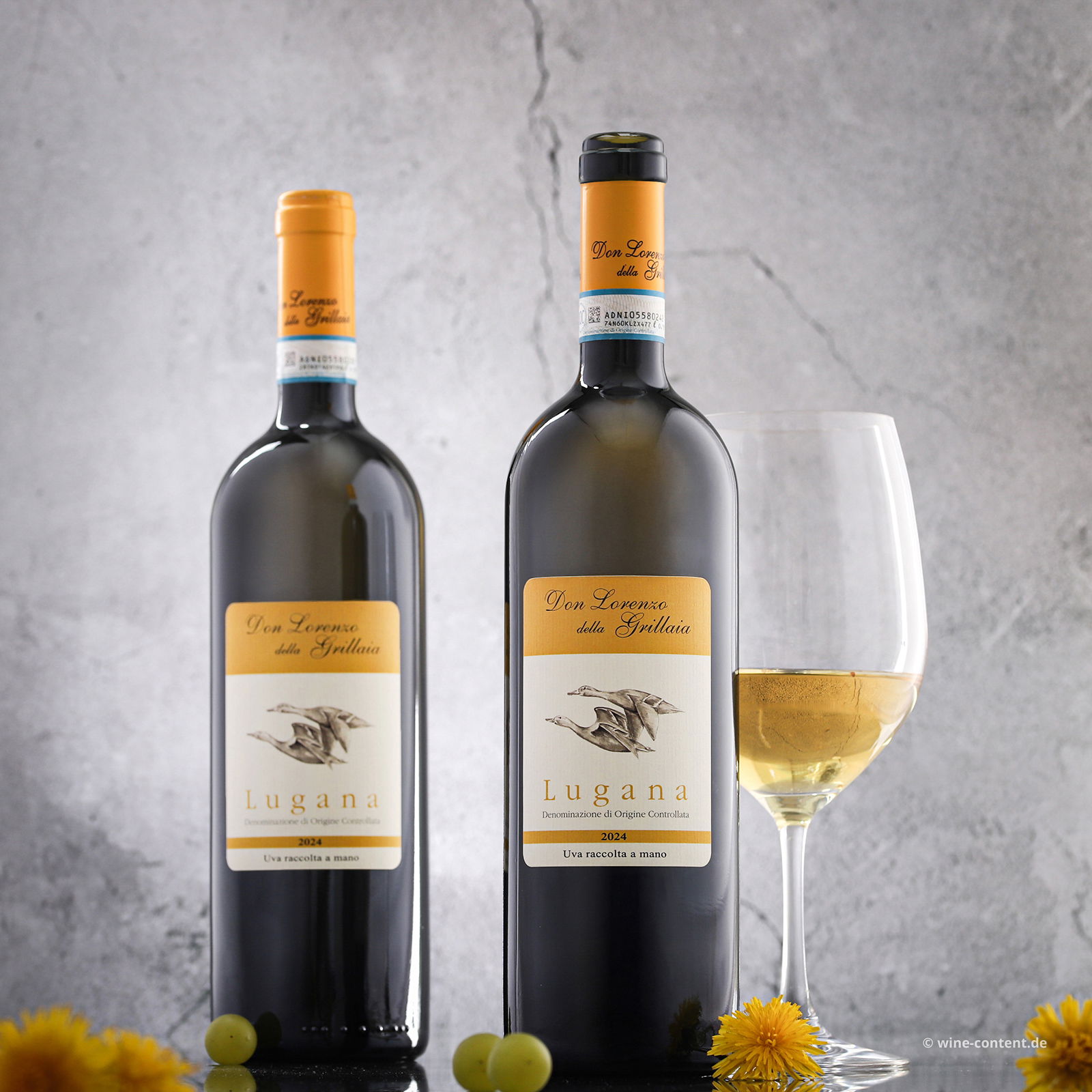 Lugana 2024 Don Lorenzo