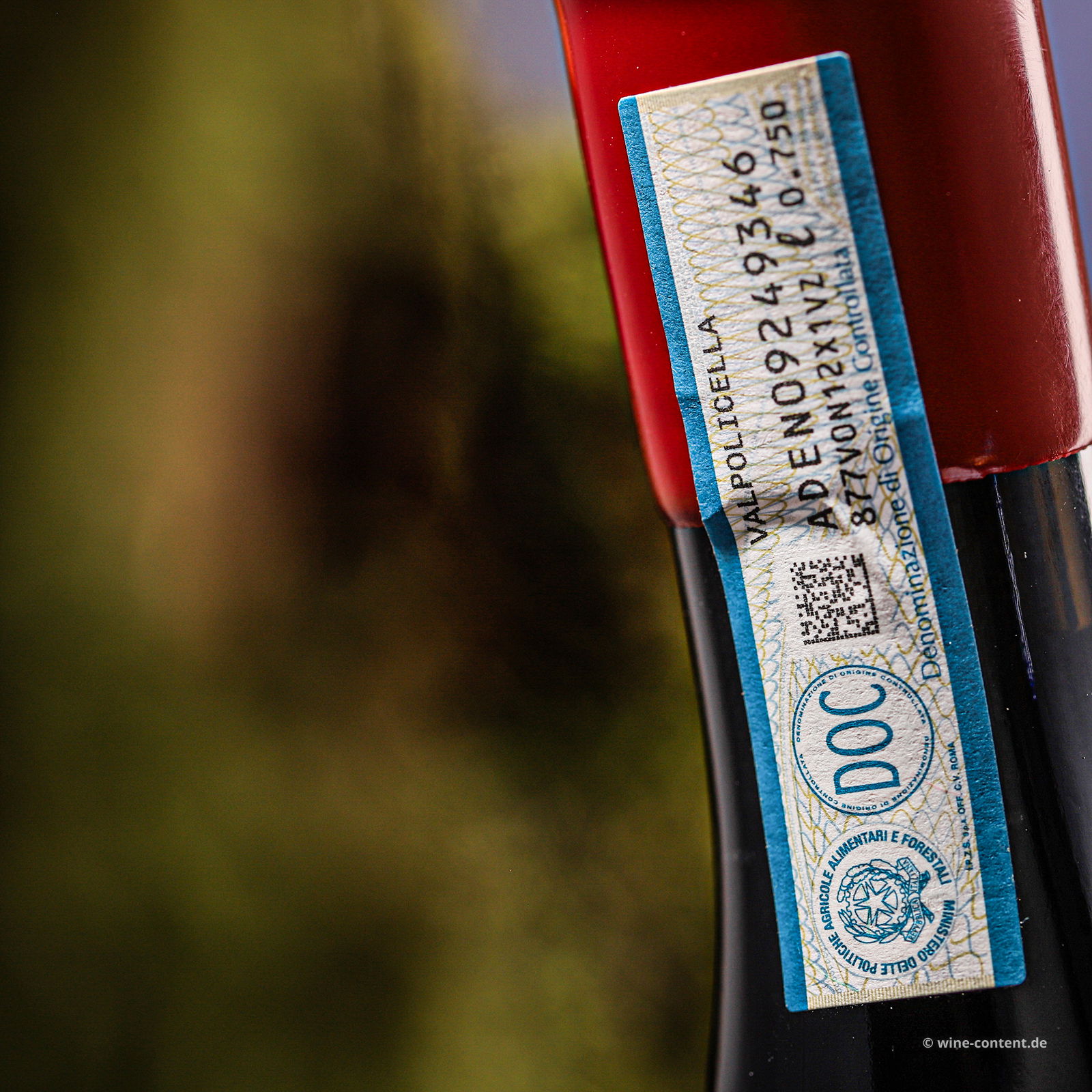 Valpolicella Classico Superiore 2021 Cru Ognisanti