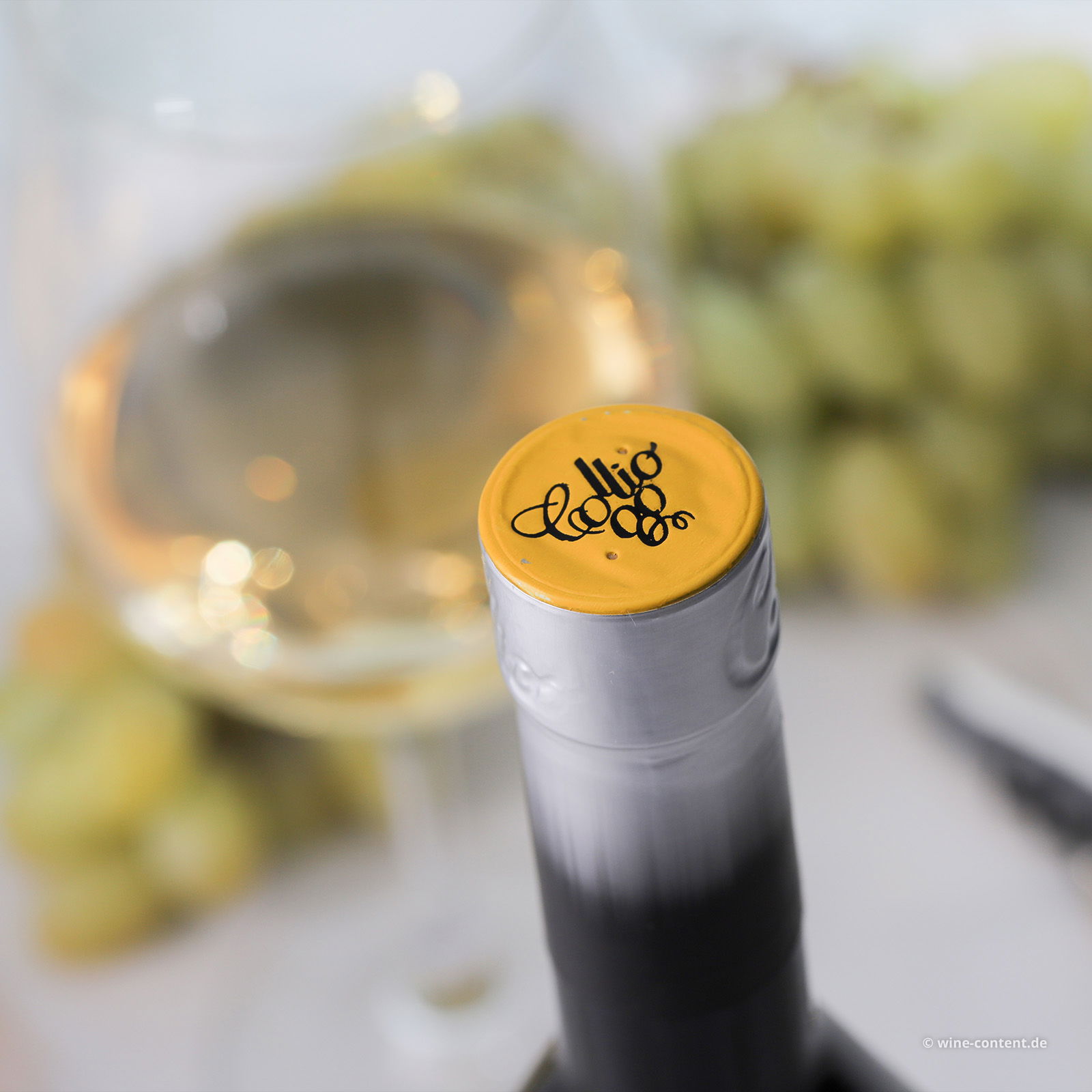 Sauvignon Blanc Collio 2024