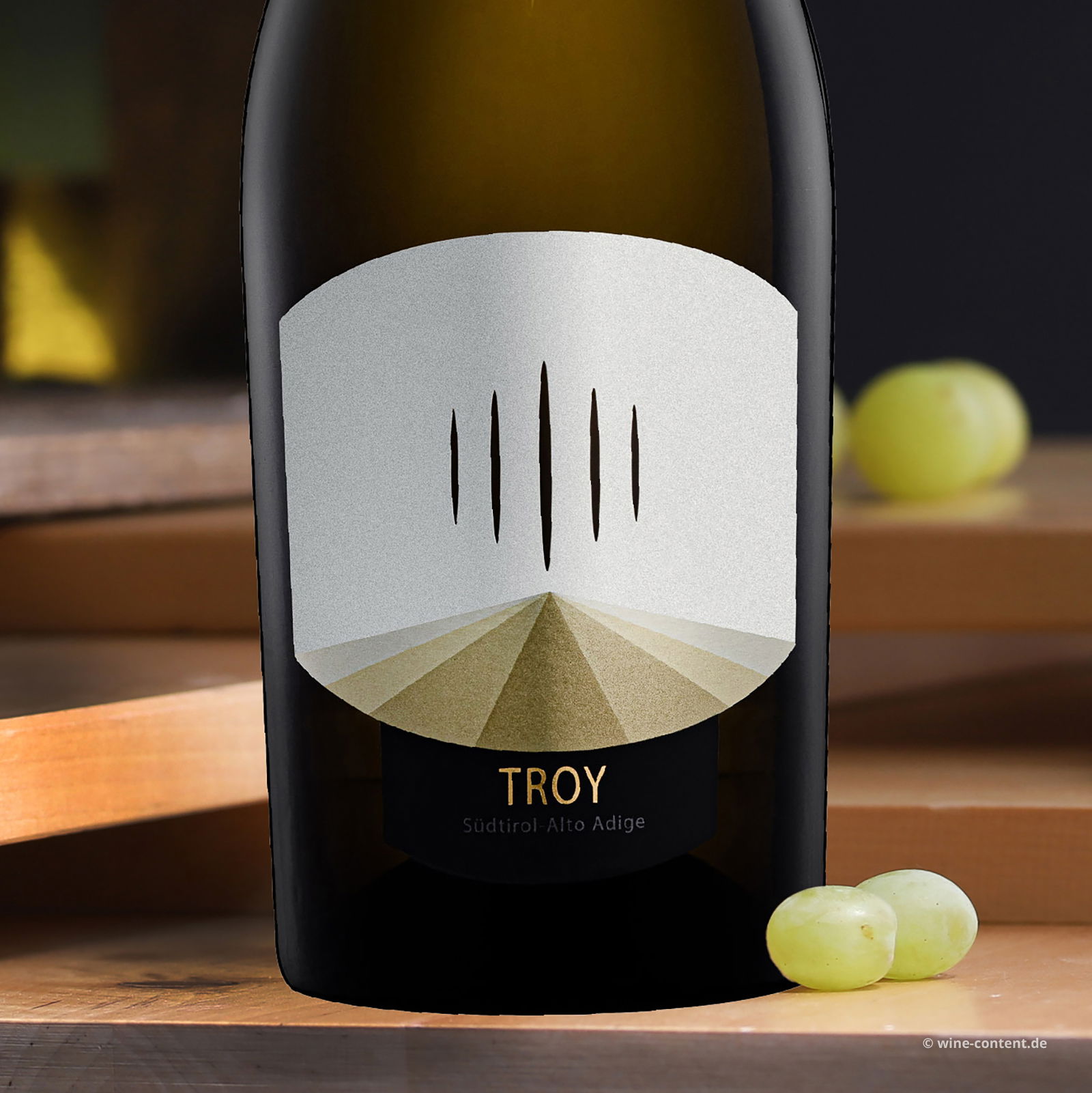Chardonnay Riserva 2021 Troy