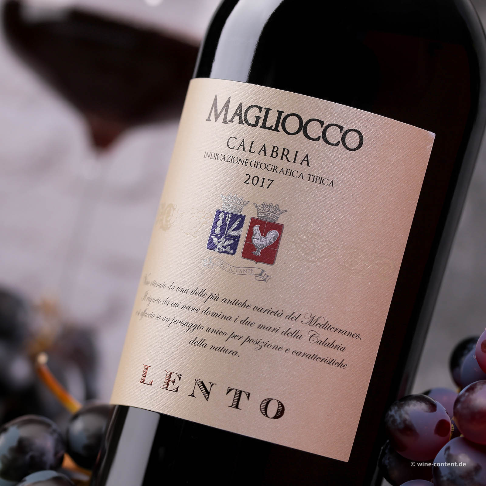Magliocco Calabria 2017