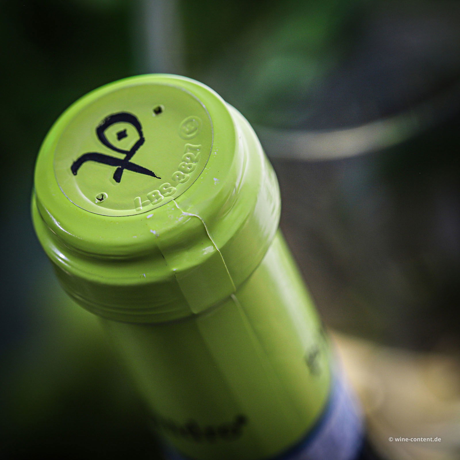 Lugana 2024 TereCrèa