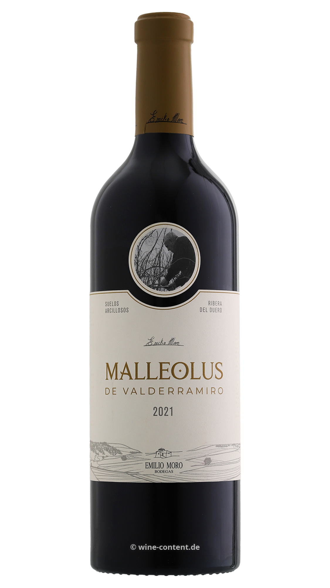 Malleolus de Valderramiro 2021