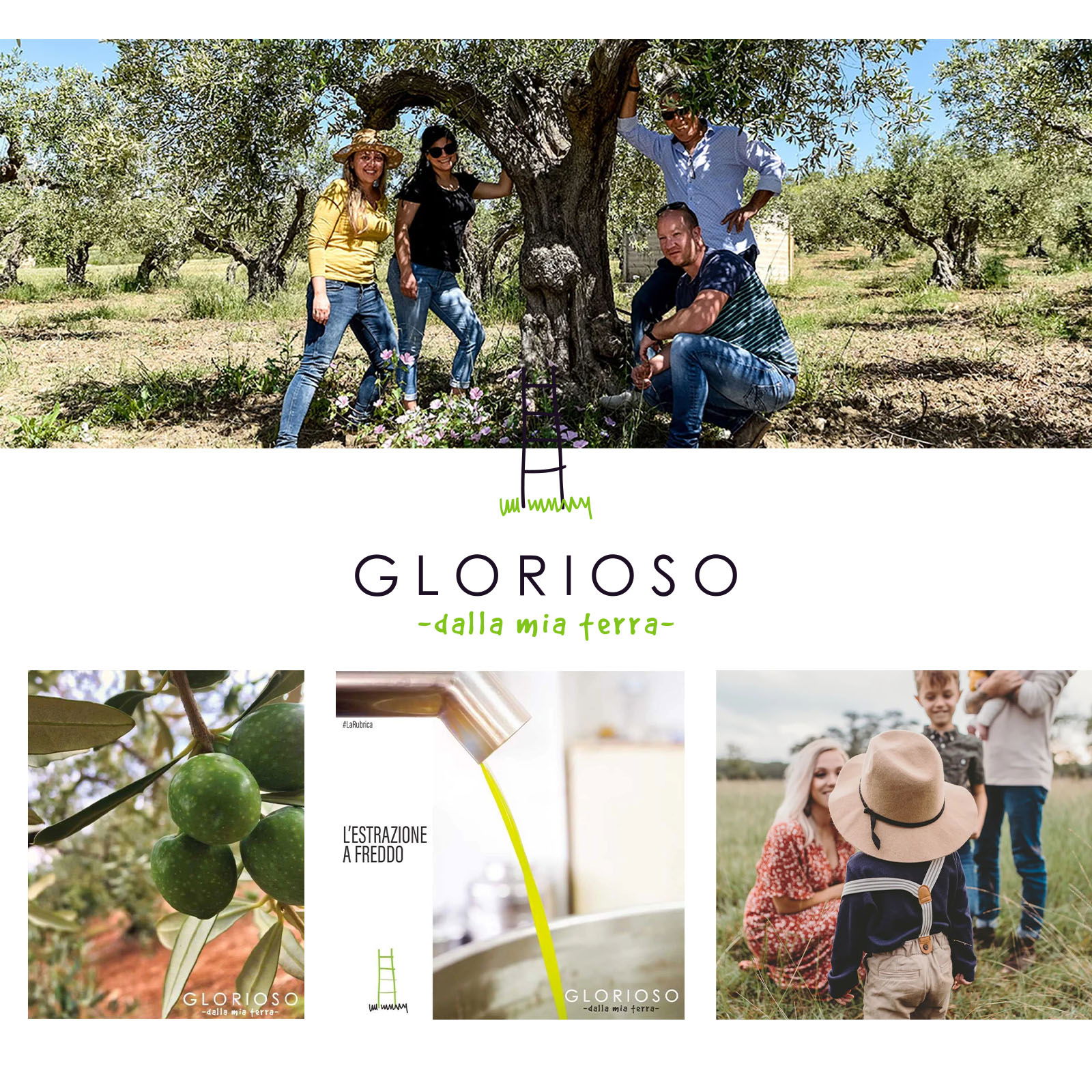 3 L Olivenöl Extra Vergine 2025 Bio