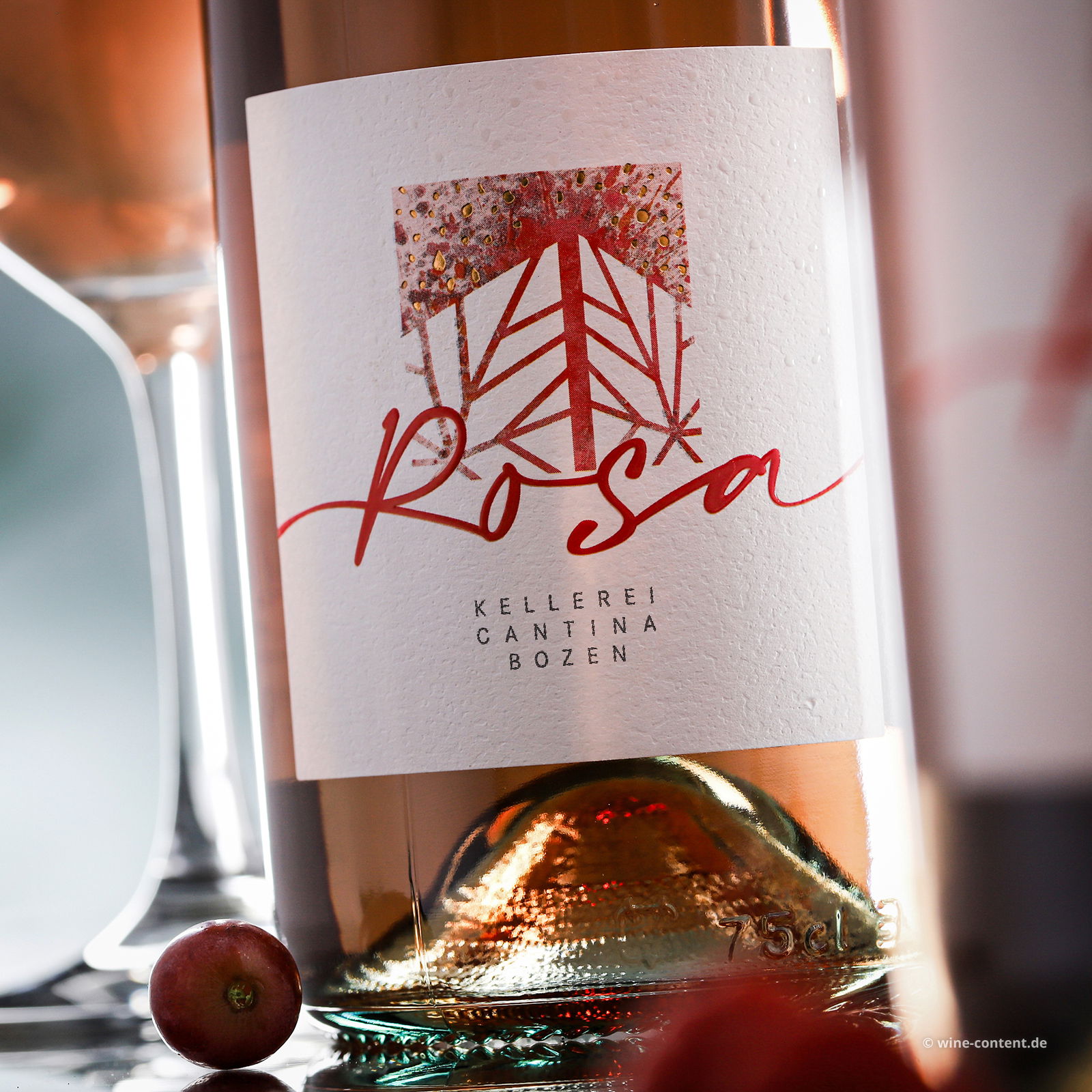 Rosa 9%