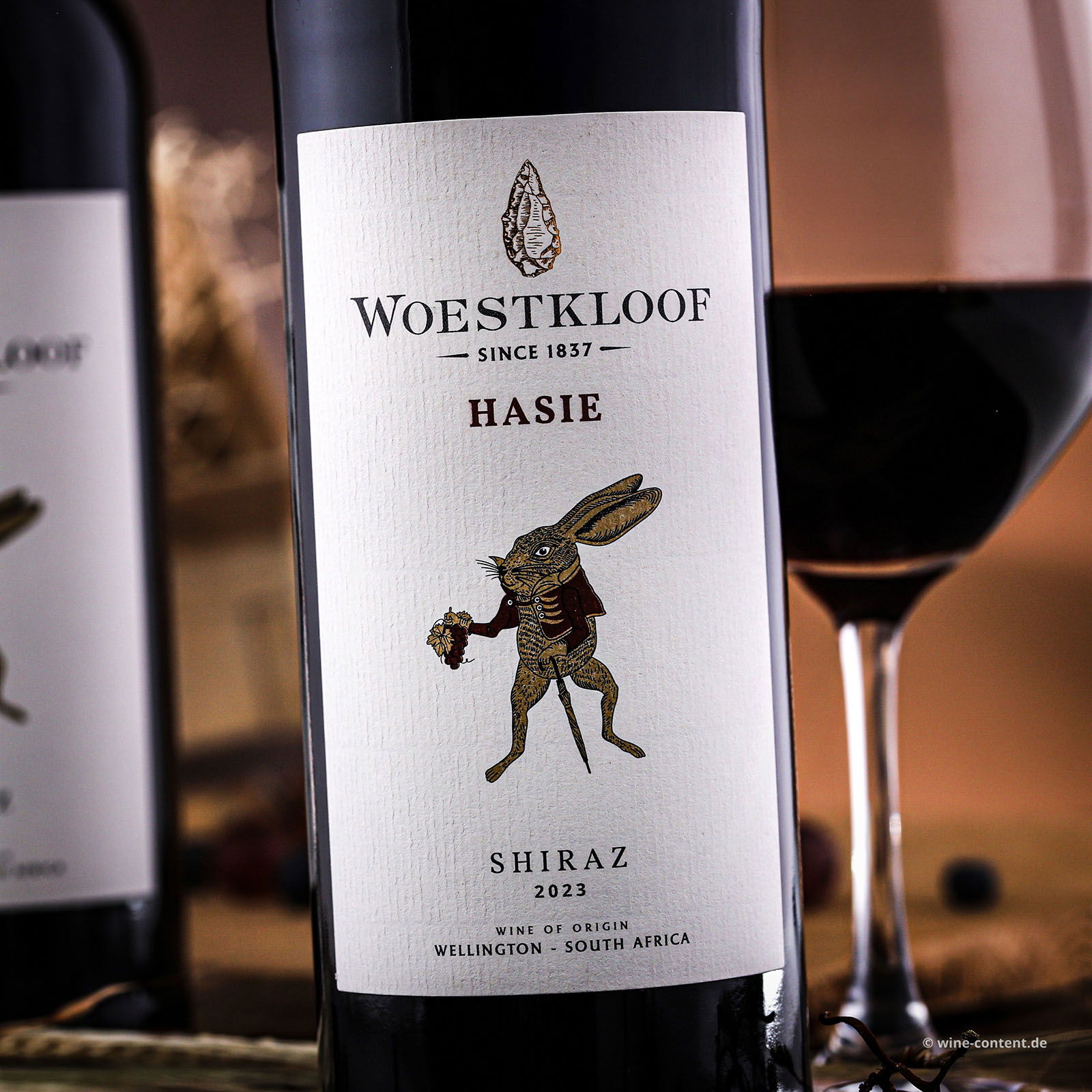 Shiraz 2023 Hasie