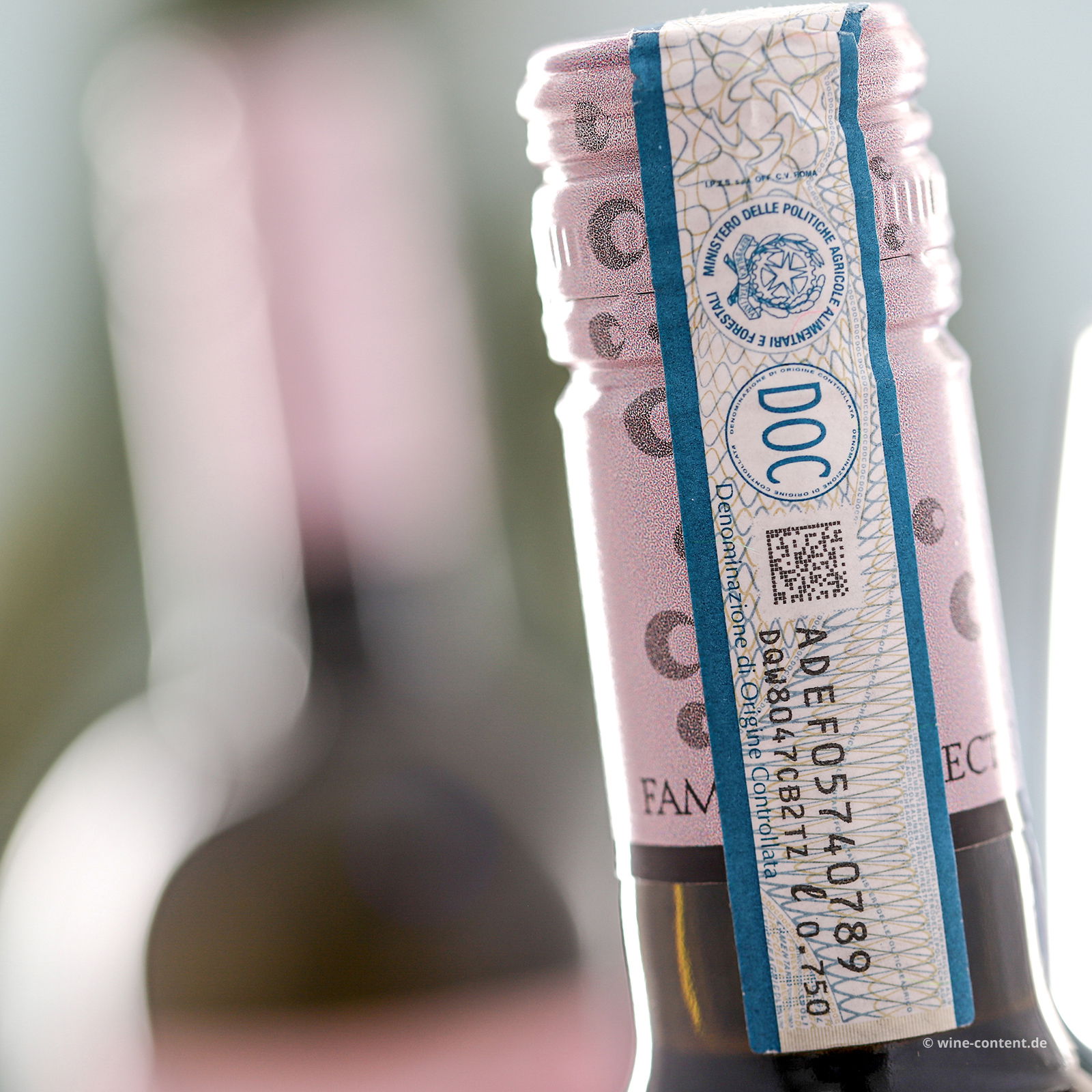 Pinot Grigio delle Venezie 2024