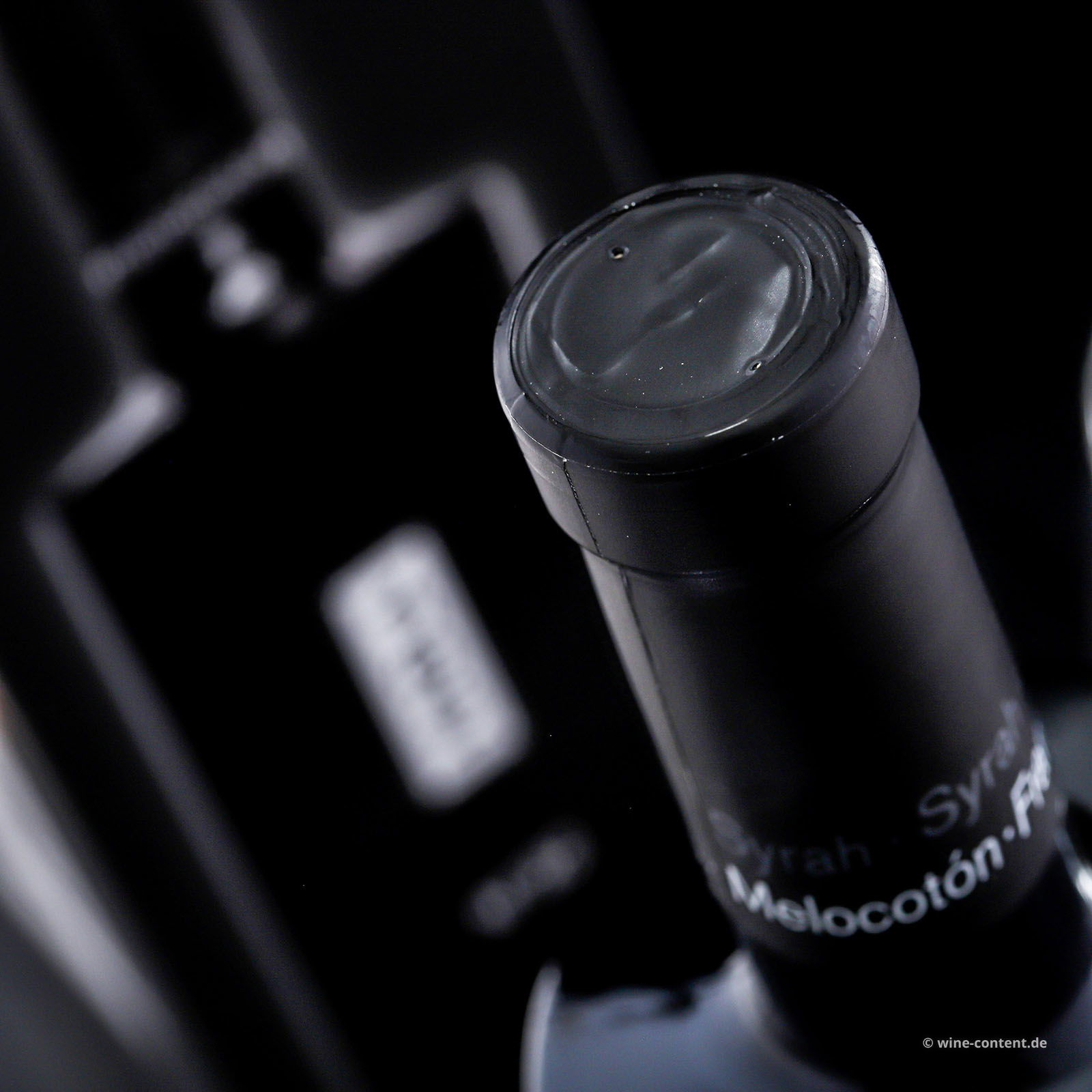 Syrah 2021 N°32