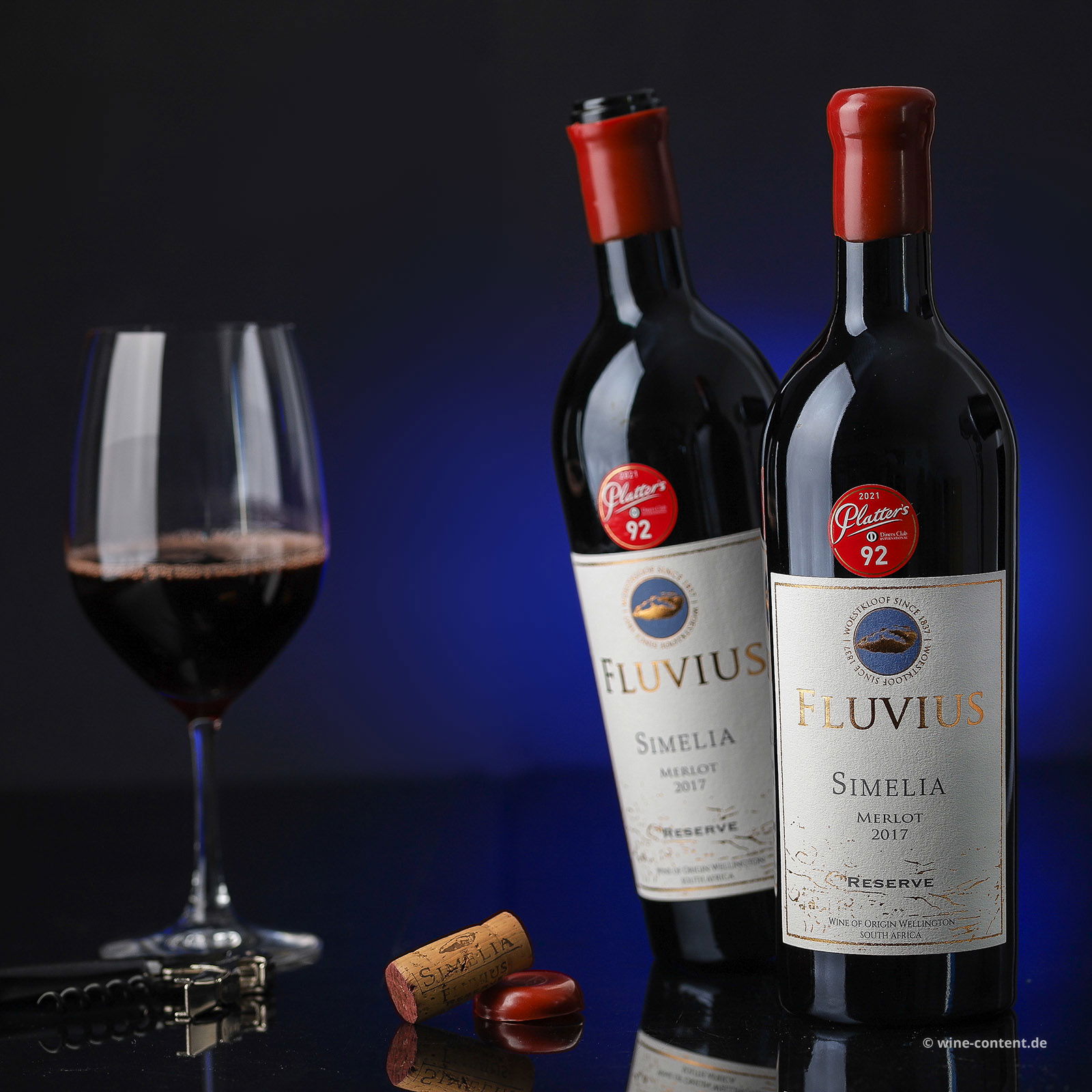 Merlot Reserve 2017 Fluvius