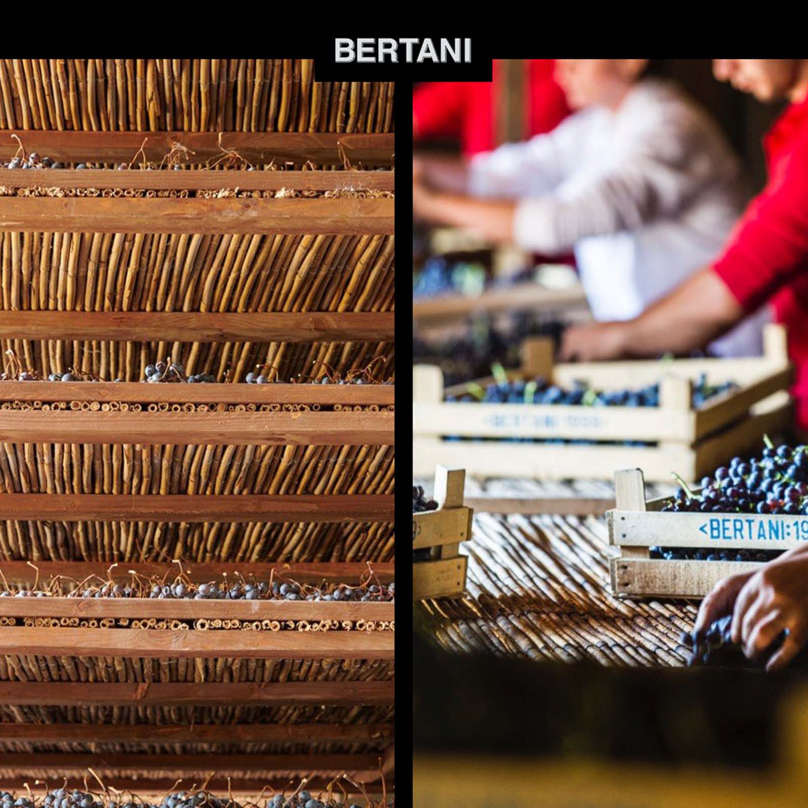 6er-Holzkiste Amarone Classico 2013