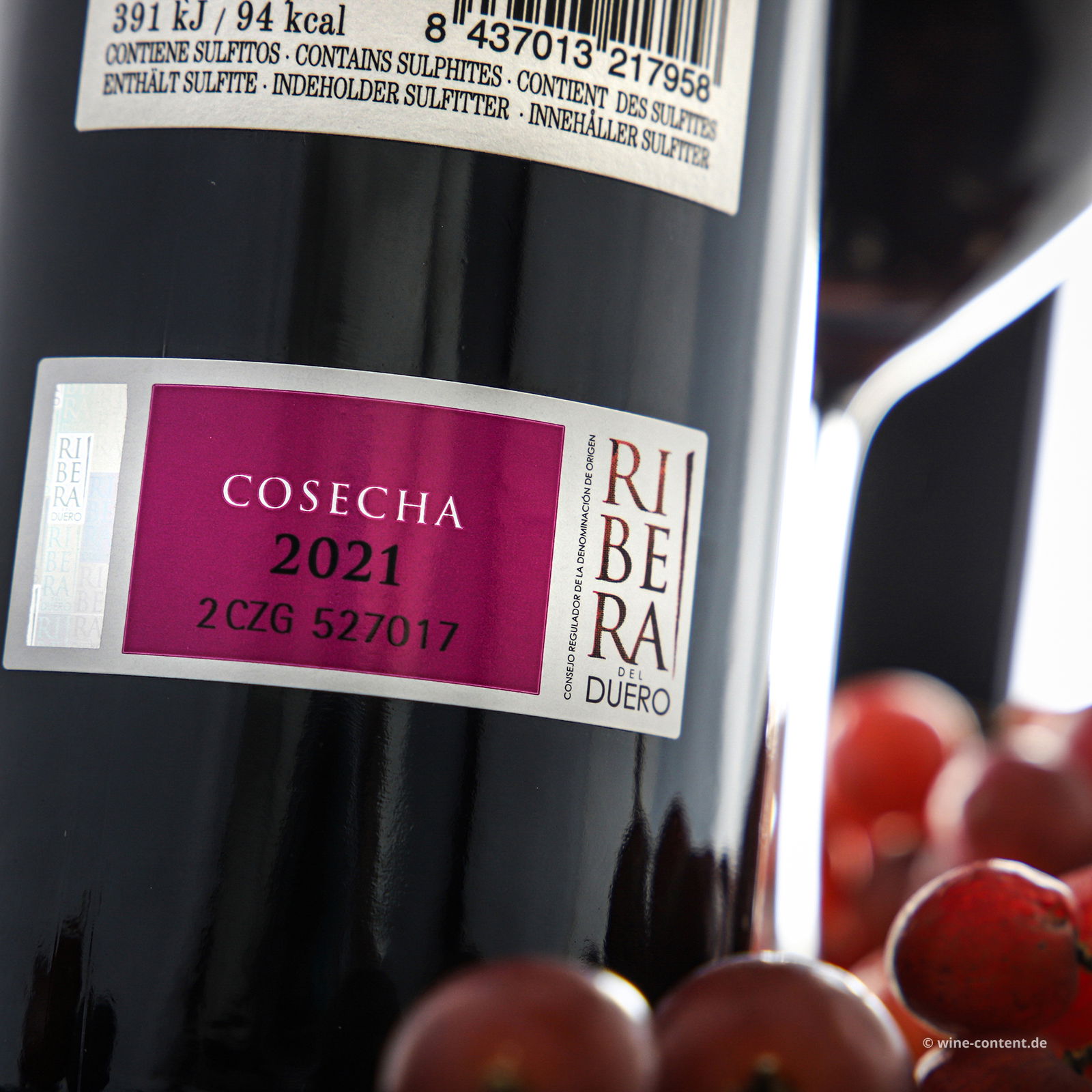 Tempranillo 2021 Avizor