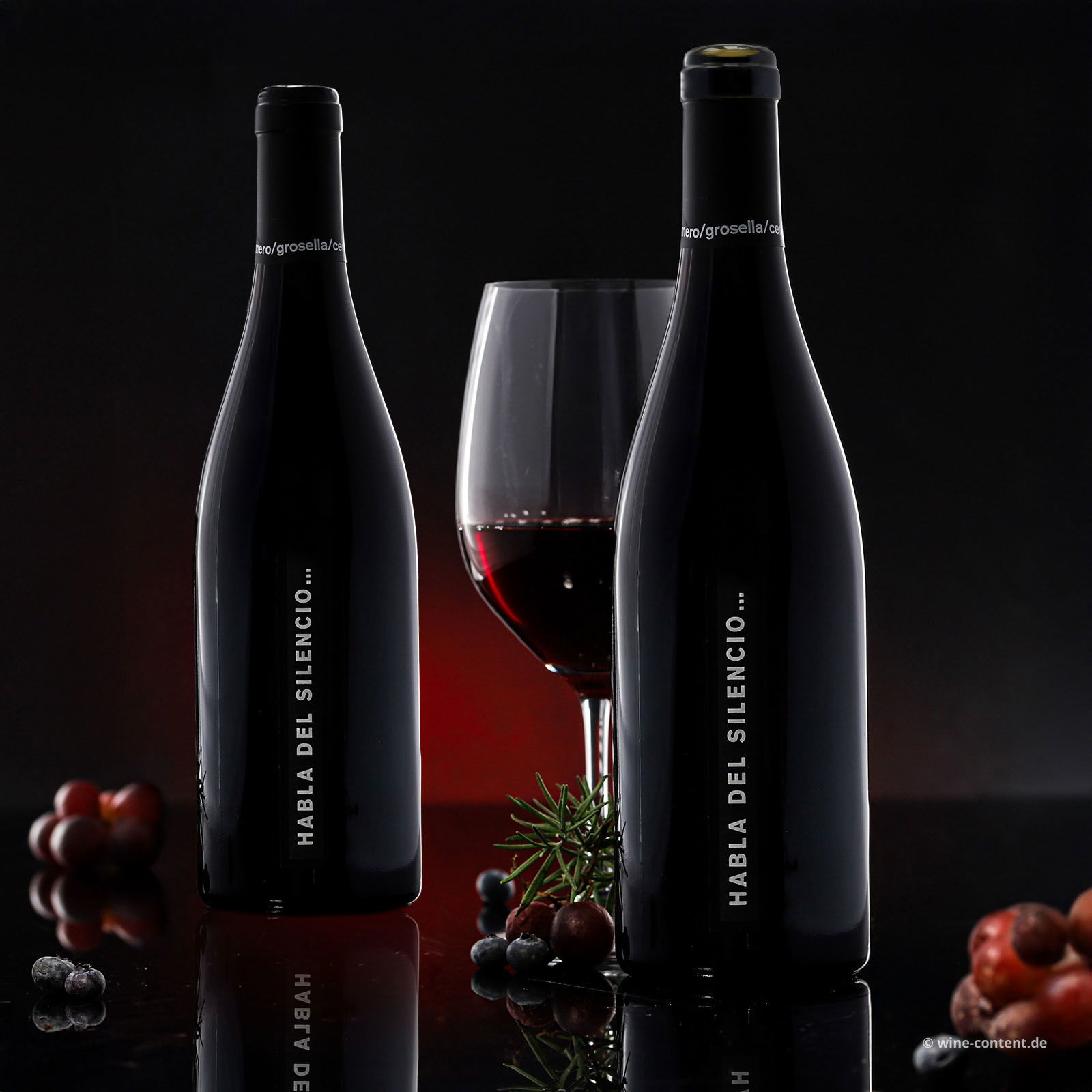 Habla del Silencio 2022