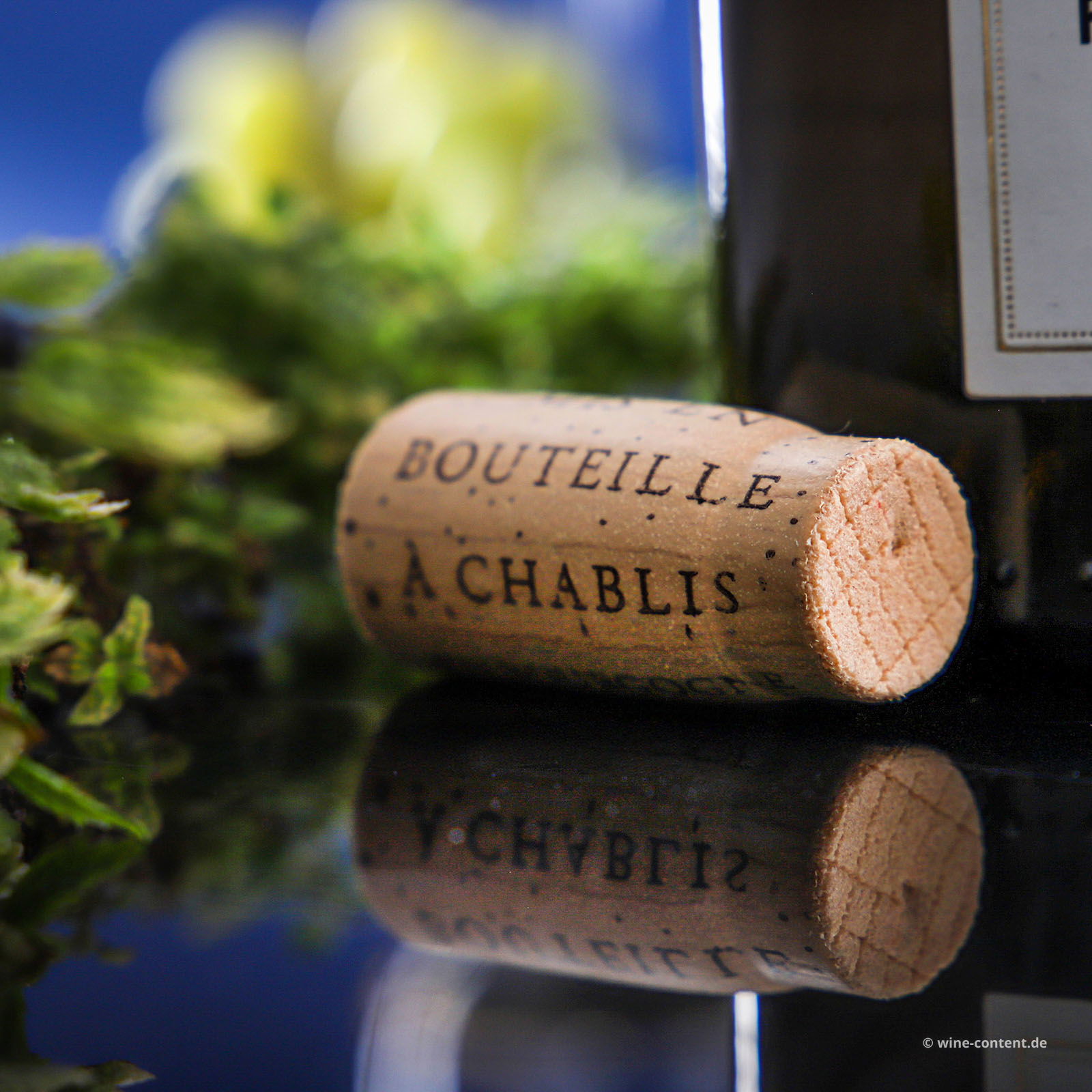 Pouilly-Fuissé 1er Cru 2022 Pouilly