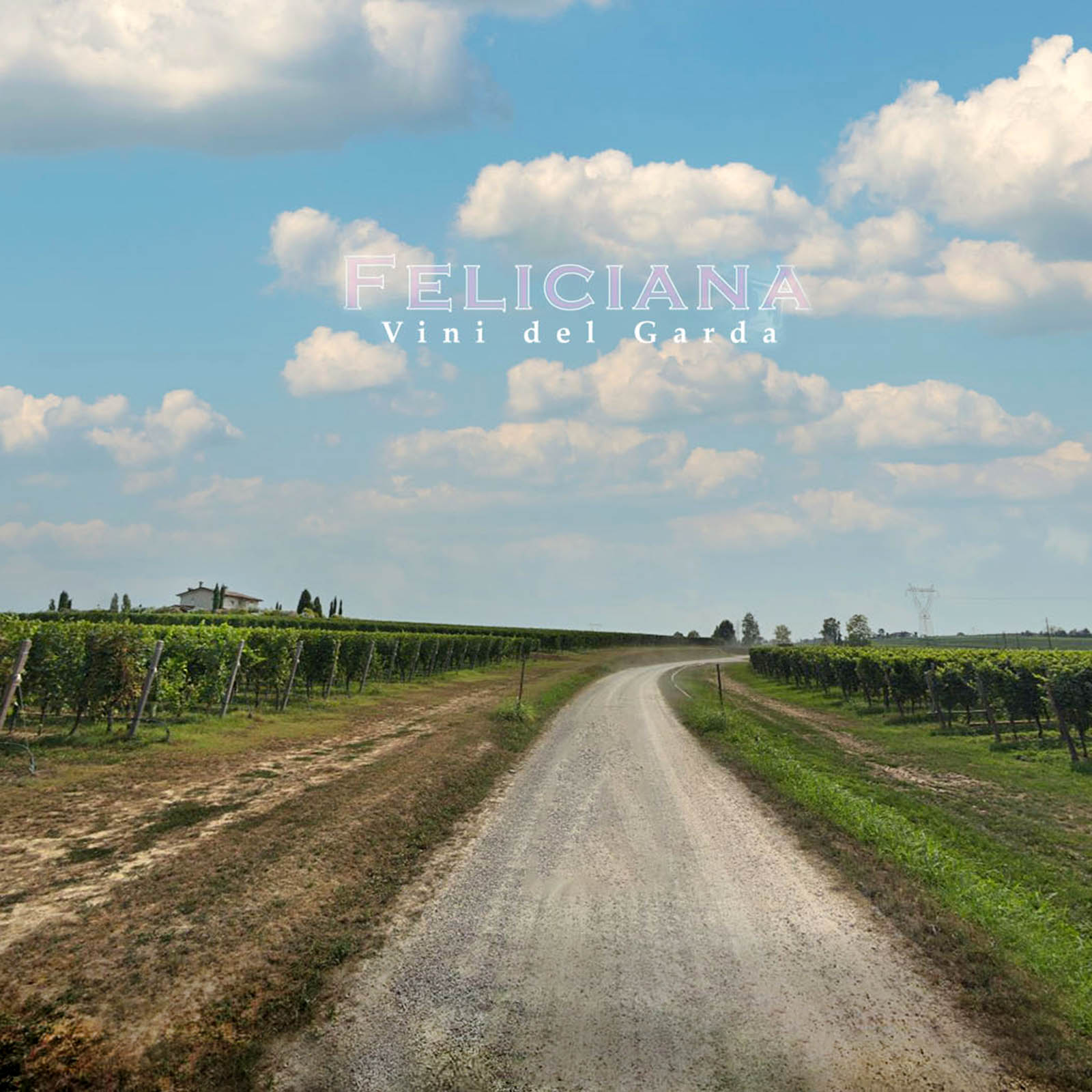 Lugana Spumante Grifo Brut